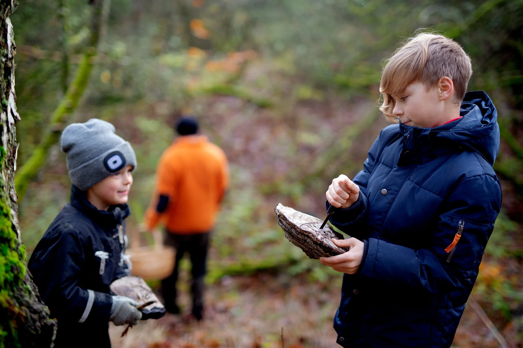 blogg-201114ambjorntorpskogen15.jpg