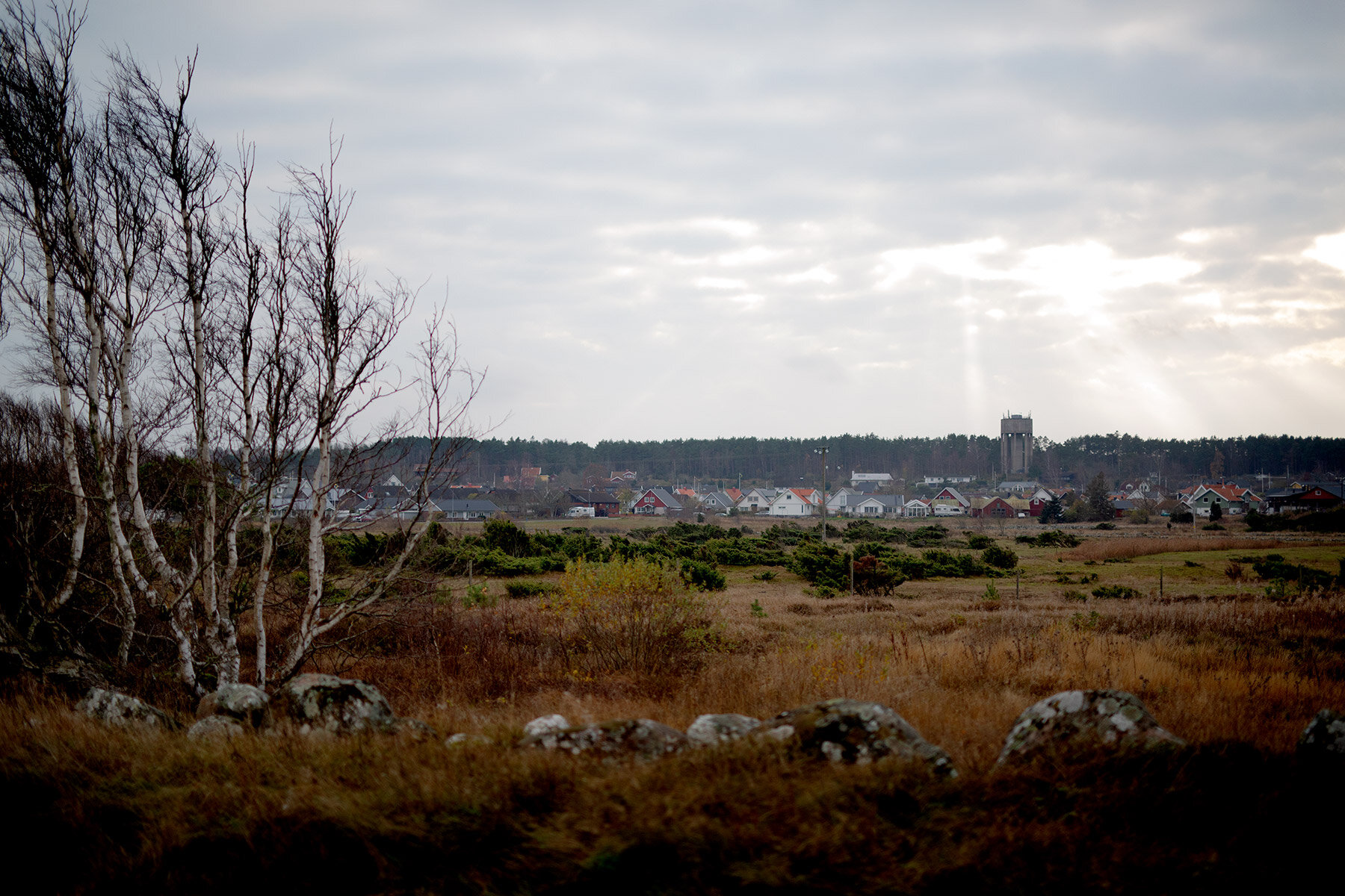 blogg-201114bale2.jpg