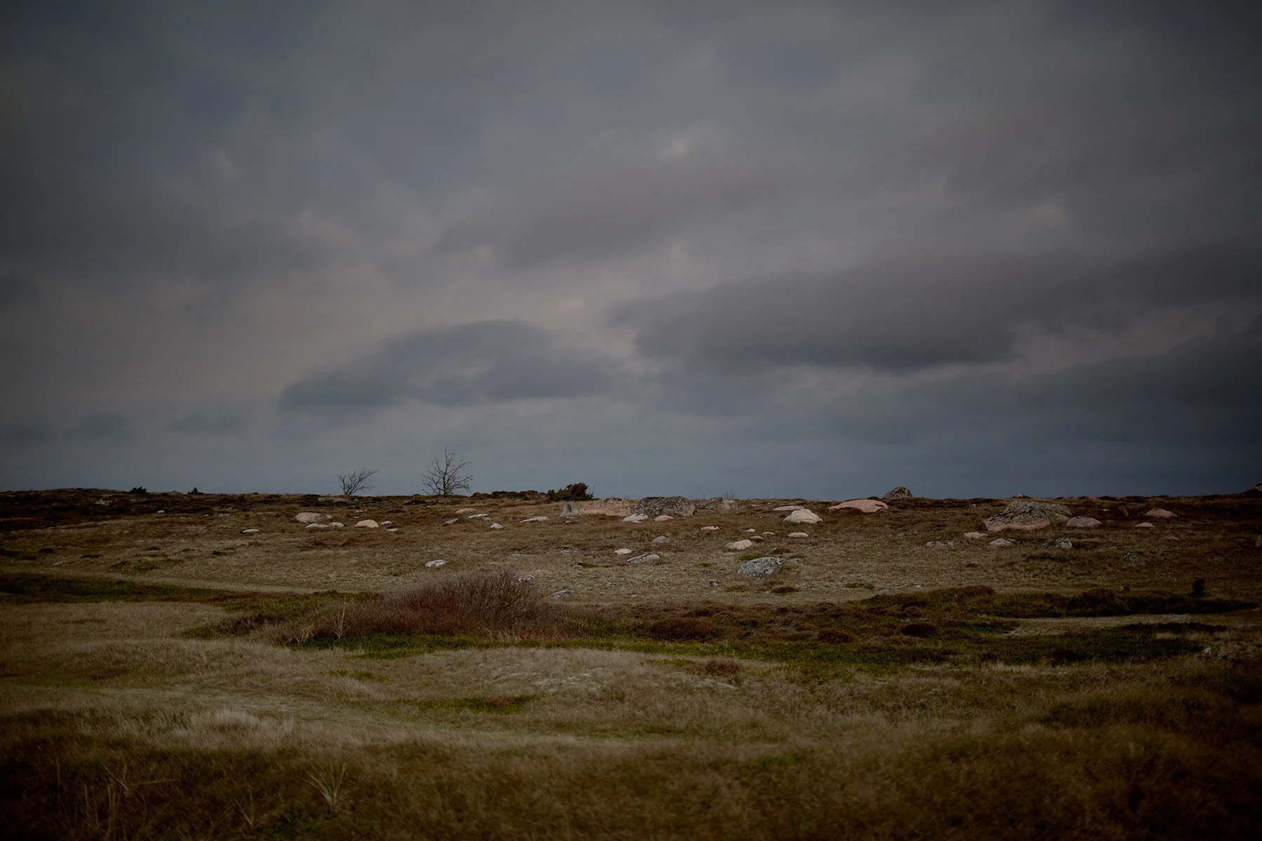 blogg-201114bale5.jpg