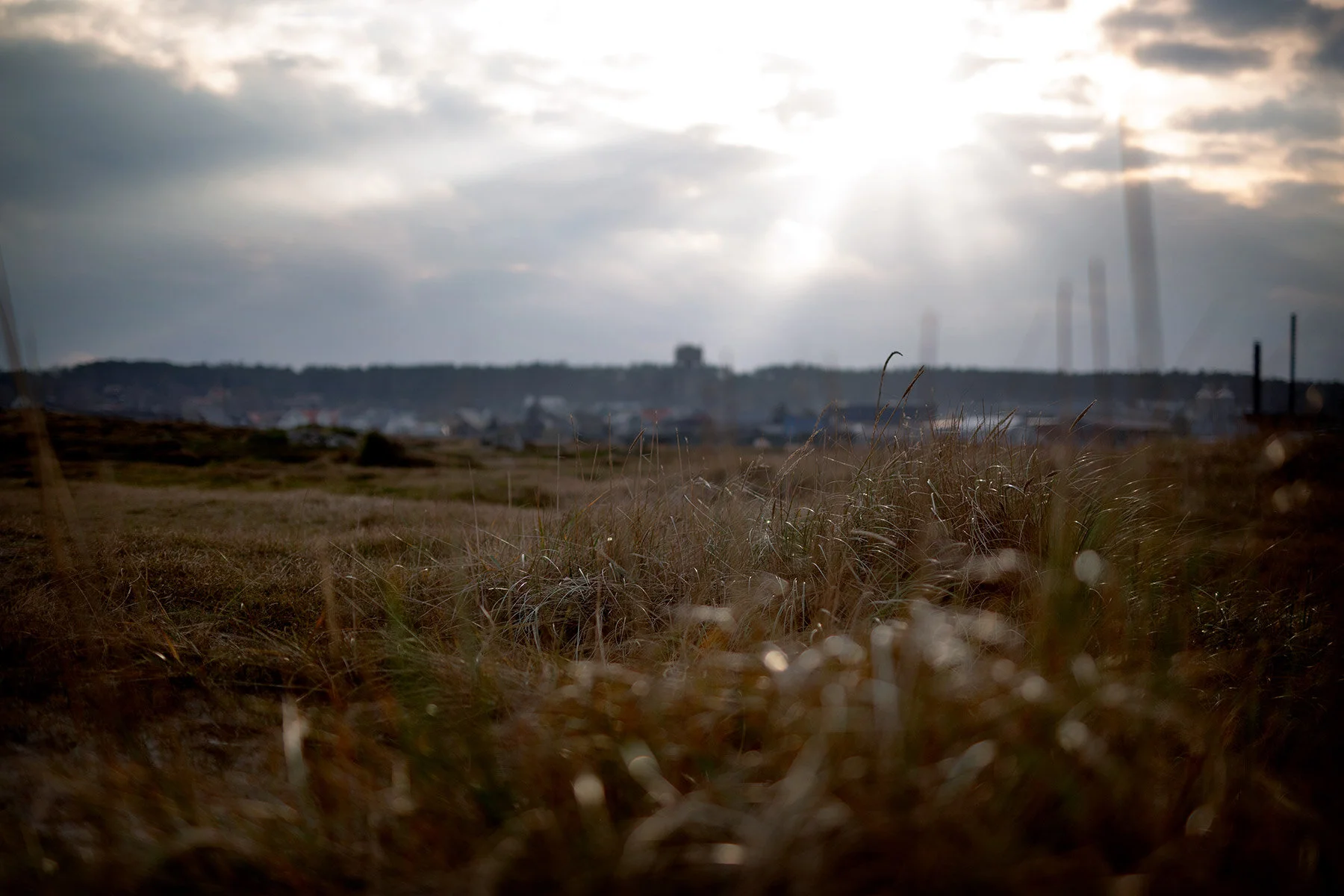 blogg-201114bale7.jpg
