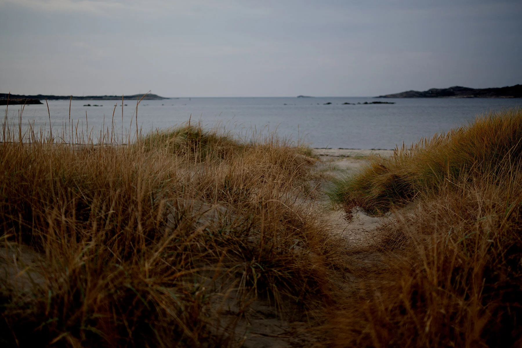 blogg-201114bale9.jpg