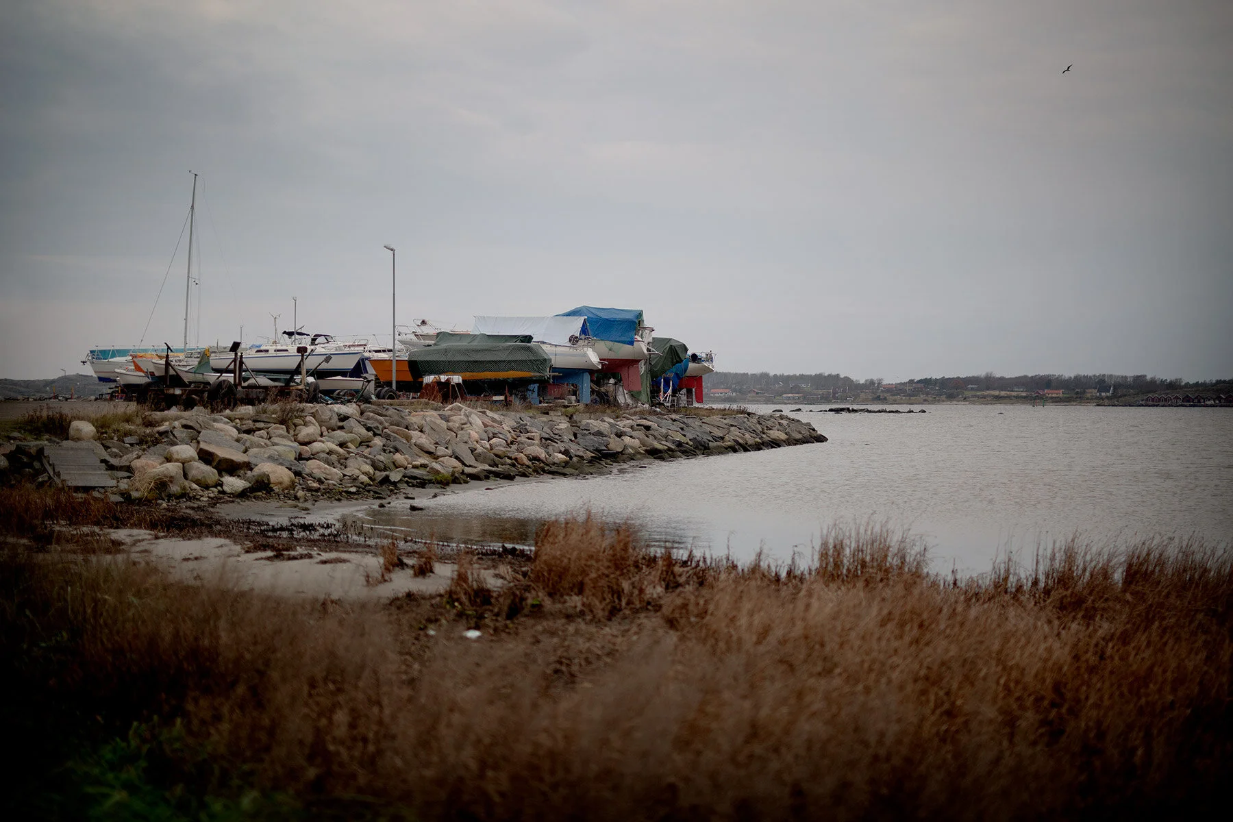 blogg-201114bale15.jpg