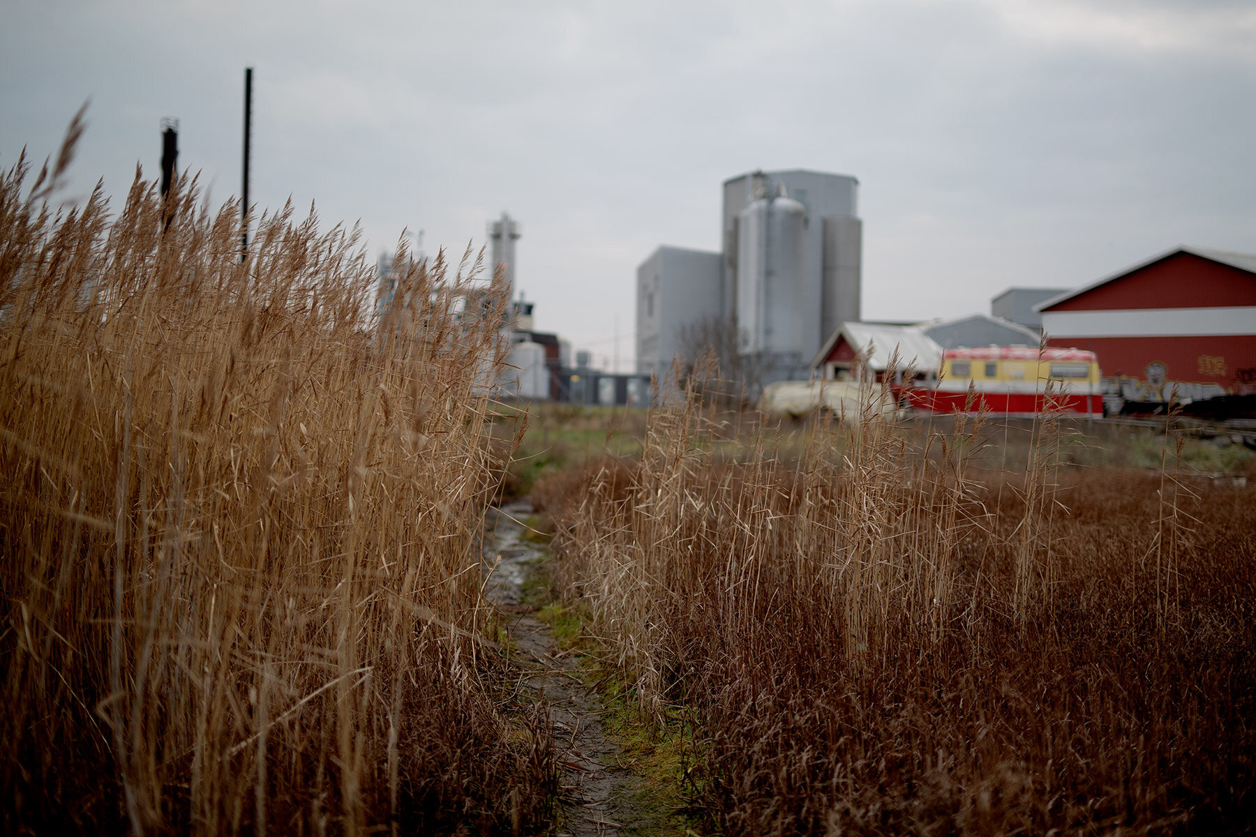 blogg-201114bale14.jpg