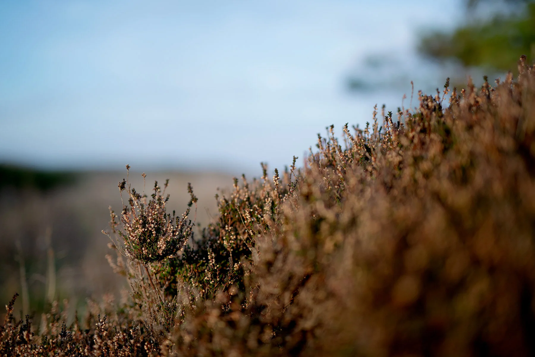 blogg-201114fyrenpromenad4.jpg