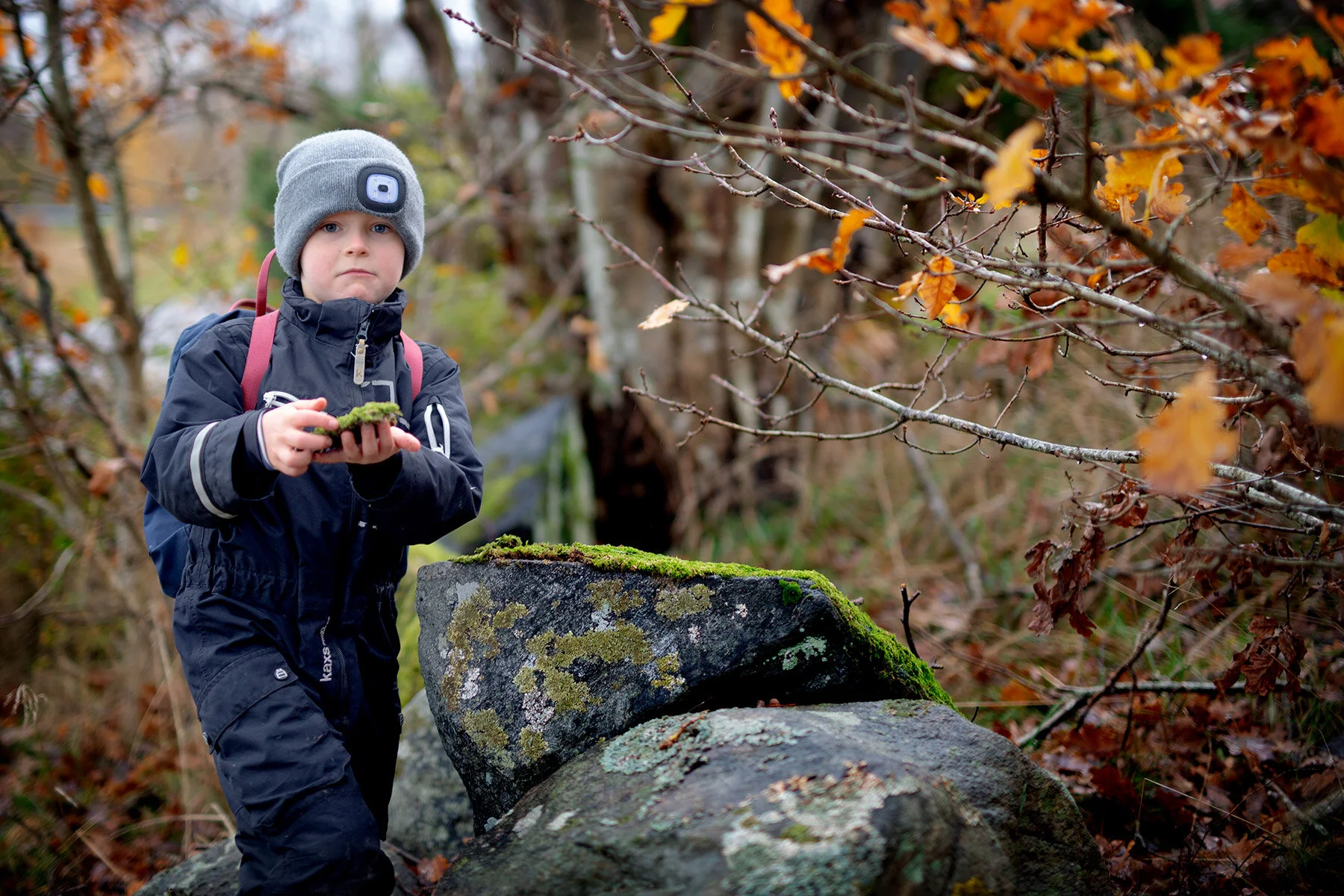 blogg-201119bertilhemfranskolan5.jpg