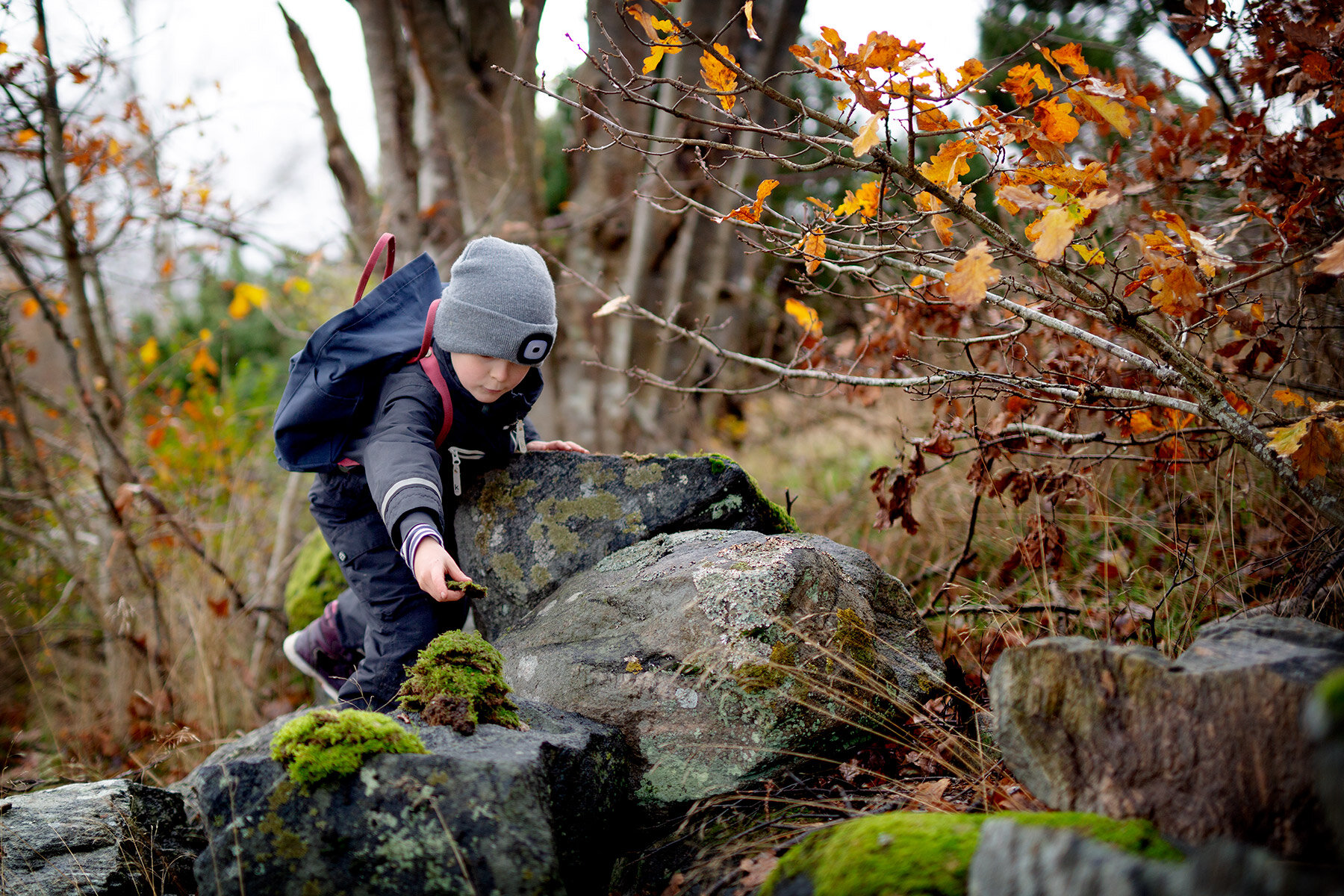 blogg-201119bertilhemfranskolan6.jpg