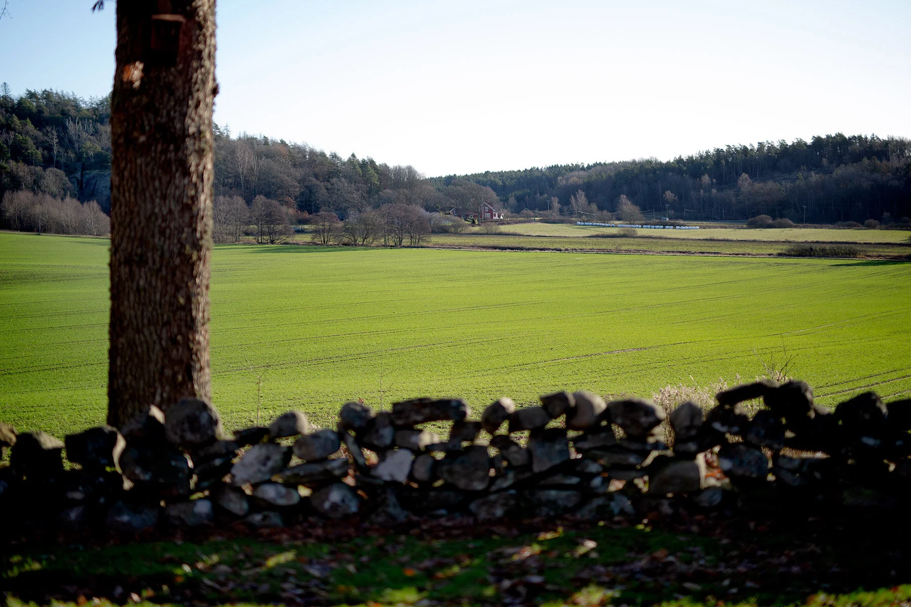blogg-201120ambjorntorpsol1.jpg