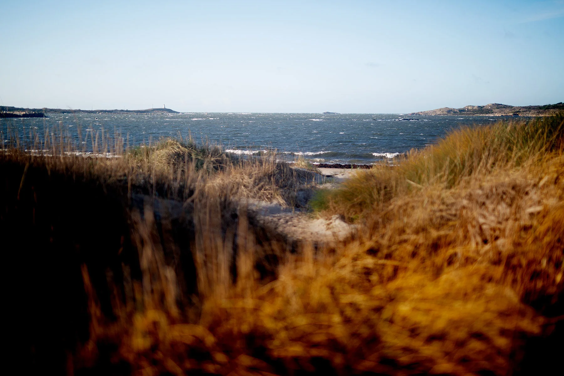 blogg-201123hemmaskoladagett19.jpg