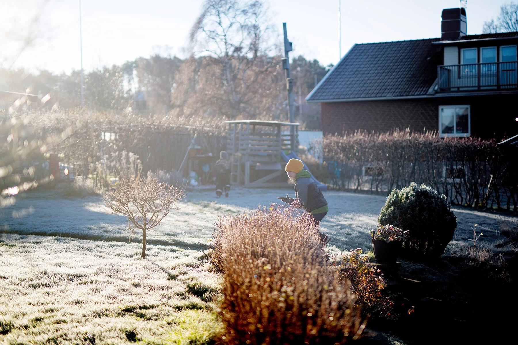 blogg-201127frostitradgarden2.jpg