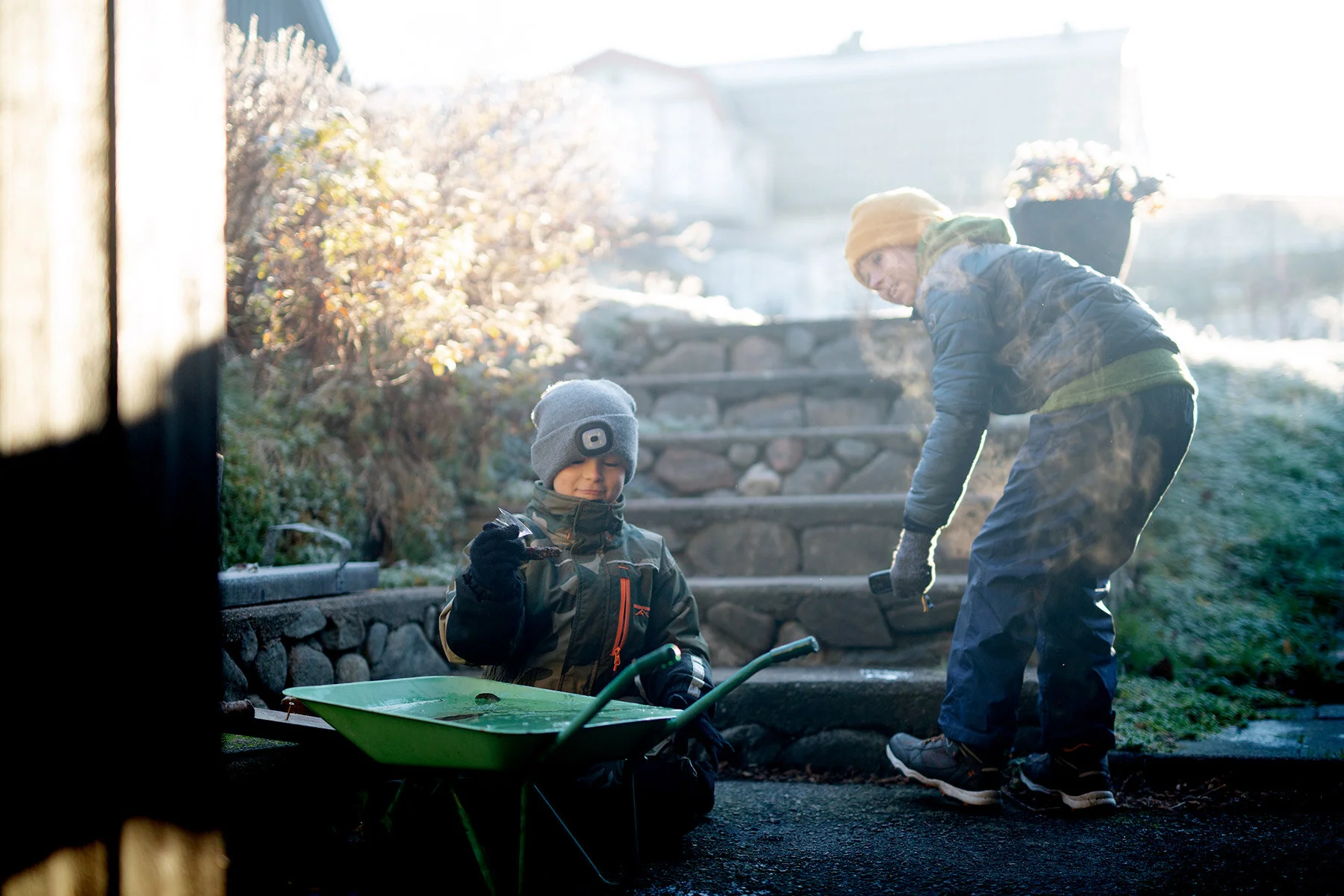 blogg-201127frostitradgarden10.jpg