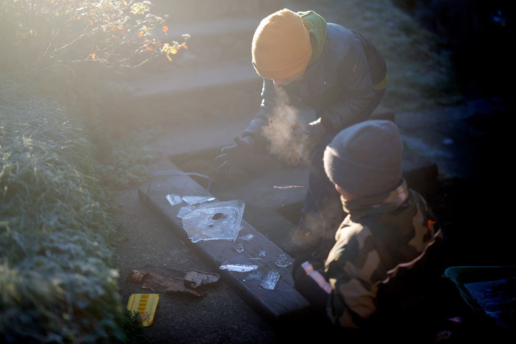 blogg-201127frostitradgarden13.jpg