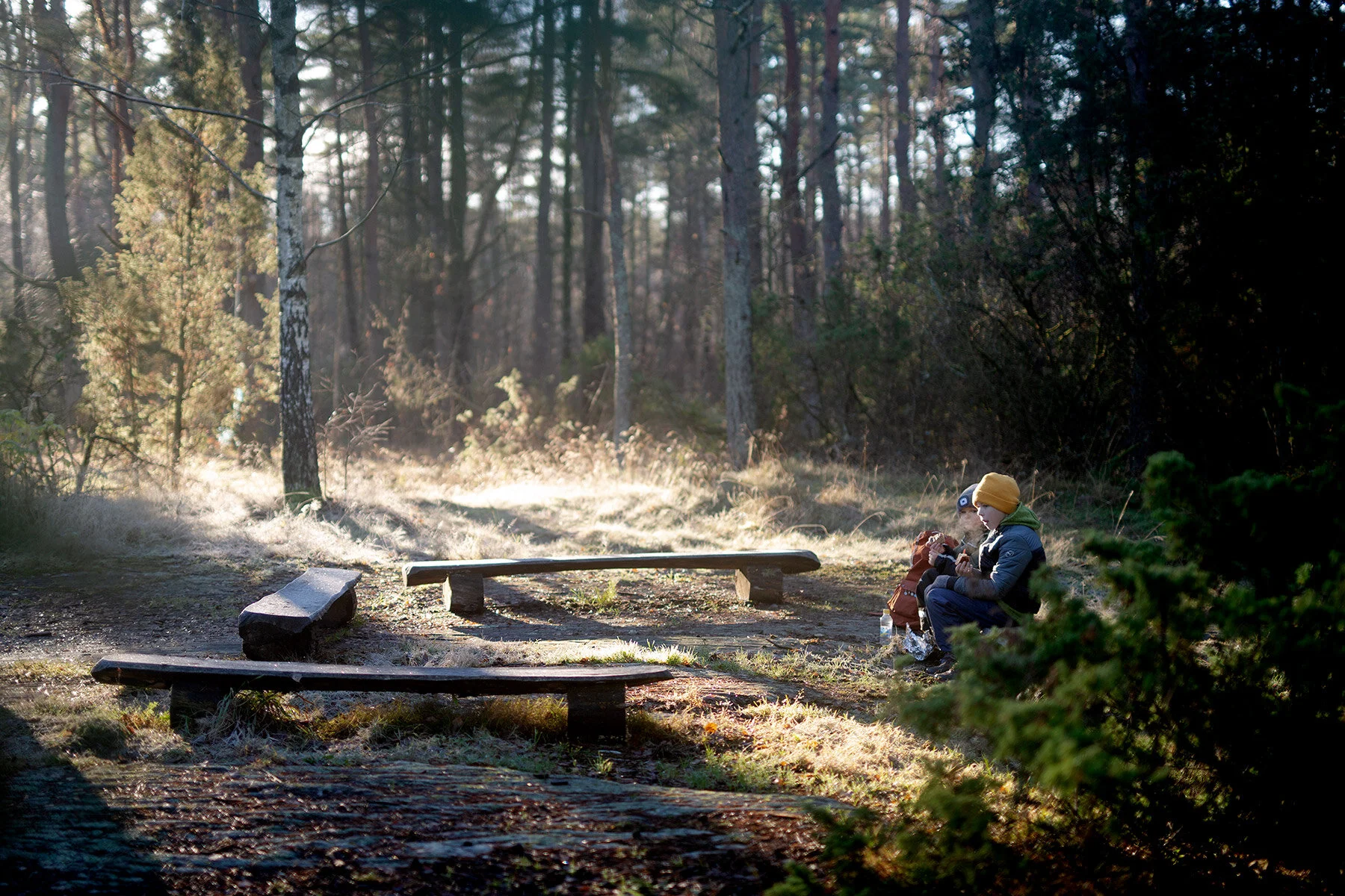 blogg-201127slinganvindskyddet10.jpg