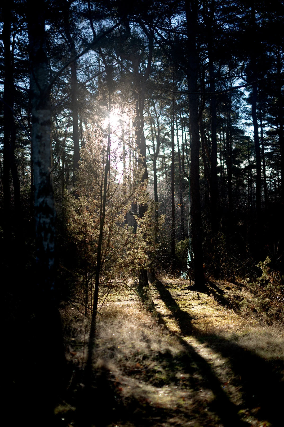 blogg-201127slinganvindskyddet17.jpg