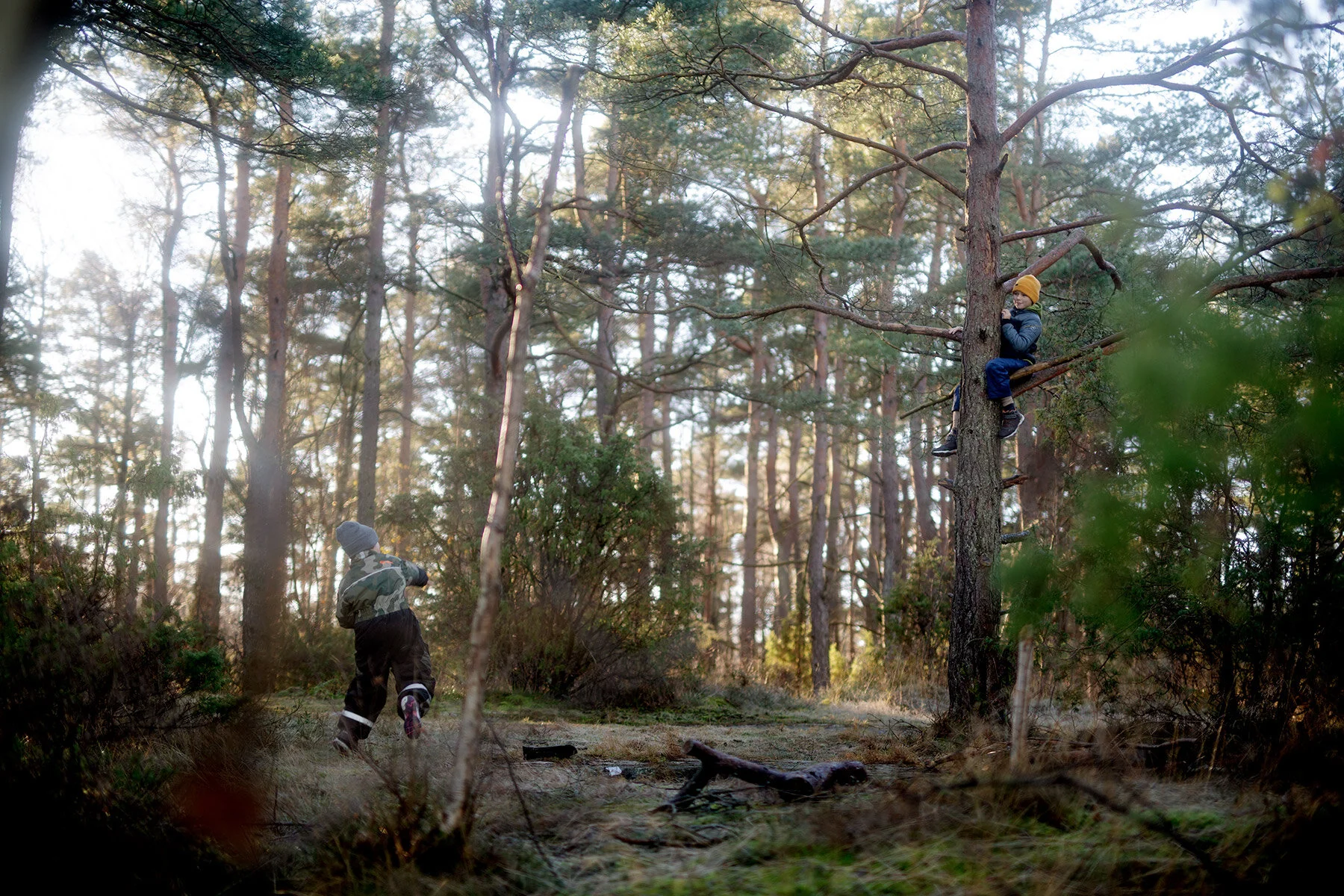 blogg-201127slinganvindskyddet22.jpg
