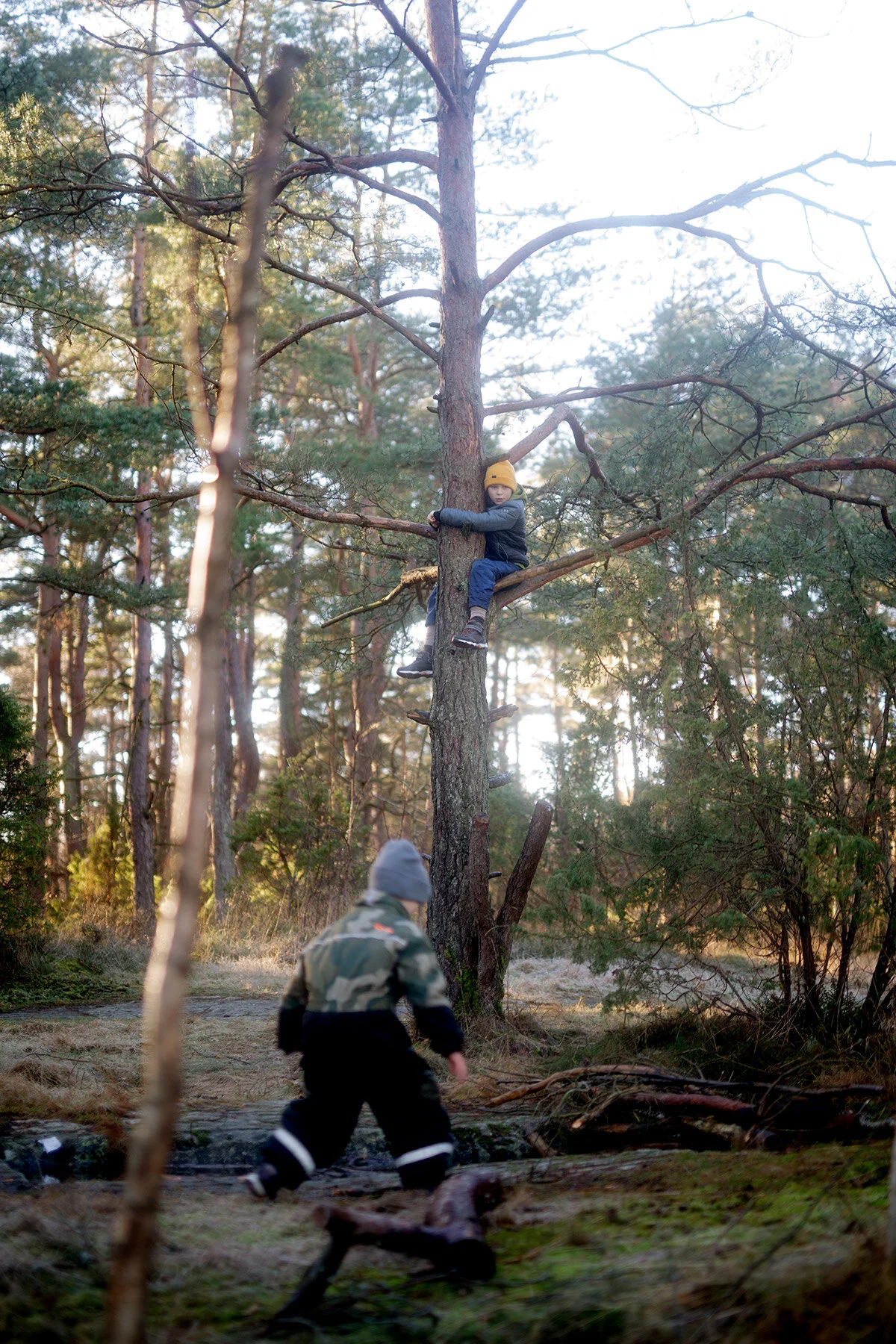 blogg-201127slinganvindskyddet24.jpg