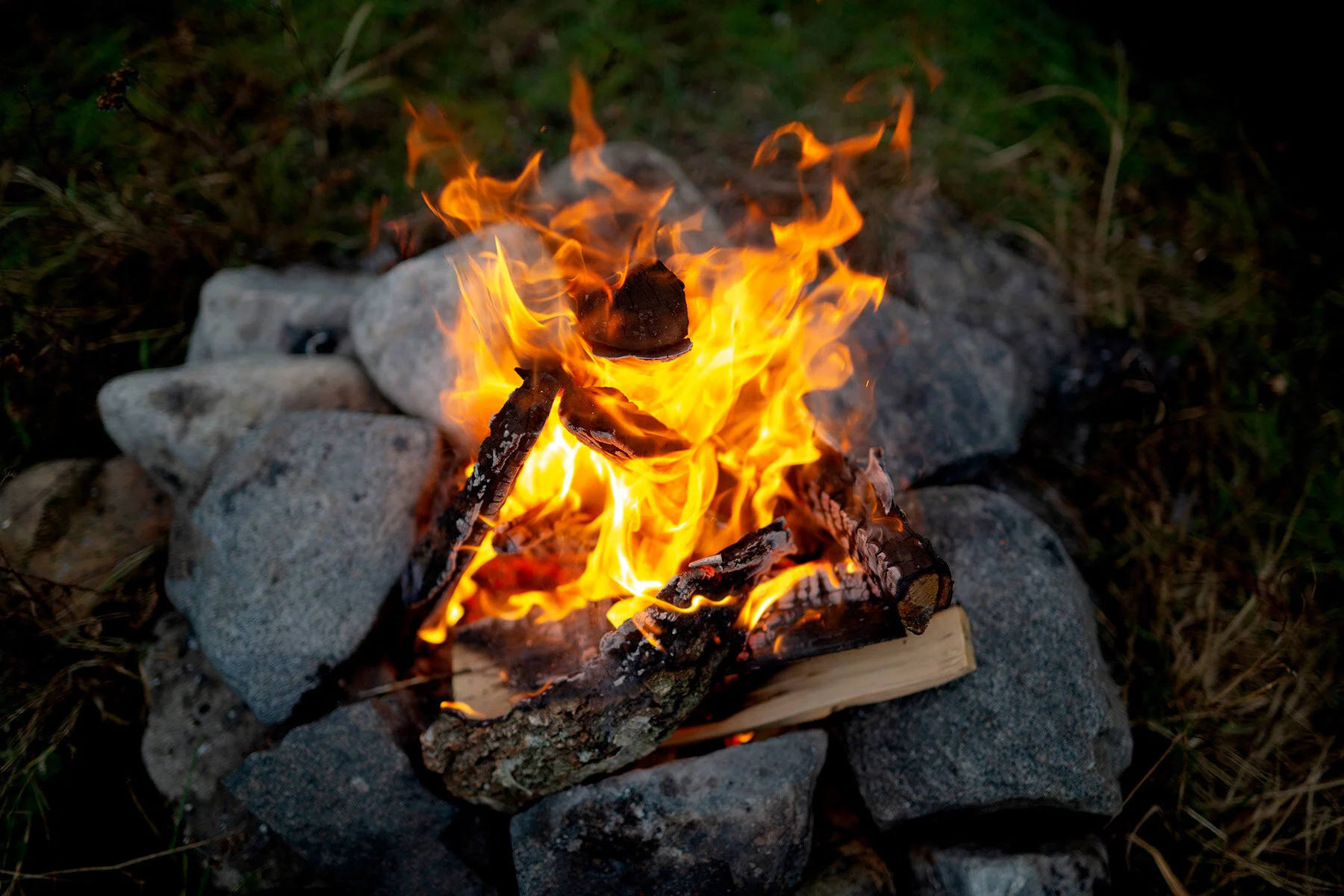 blogg-201129fyrenstrandenbrasa9.jpg