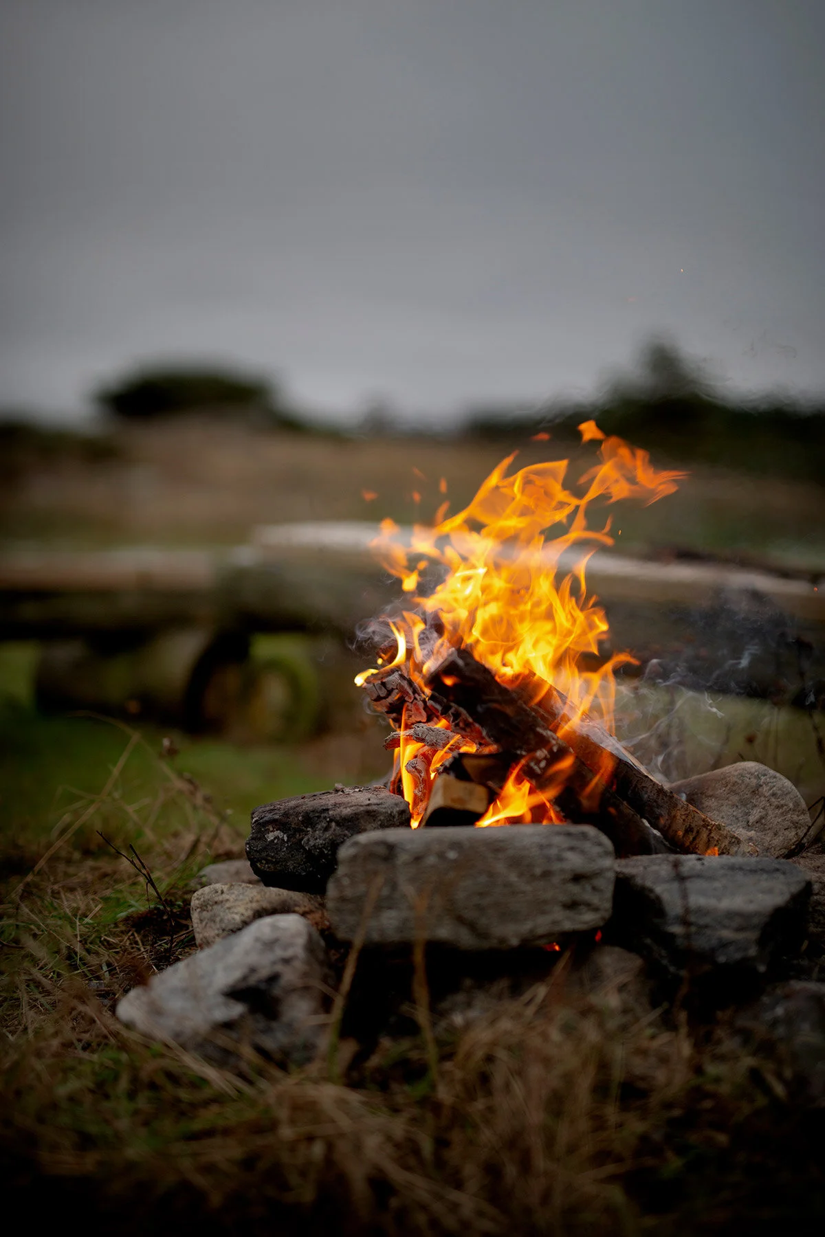 blogg-201129fyrenstrandenbrasa14.jpg