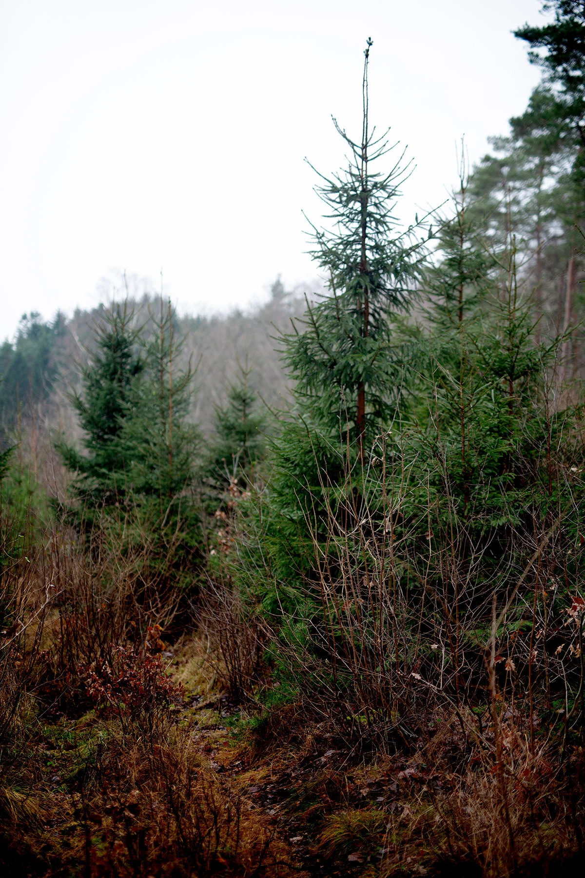 blogg-201205huggagran7.jpg