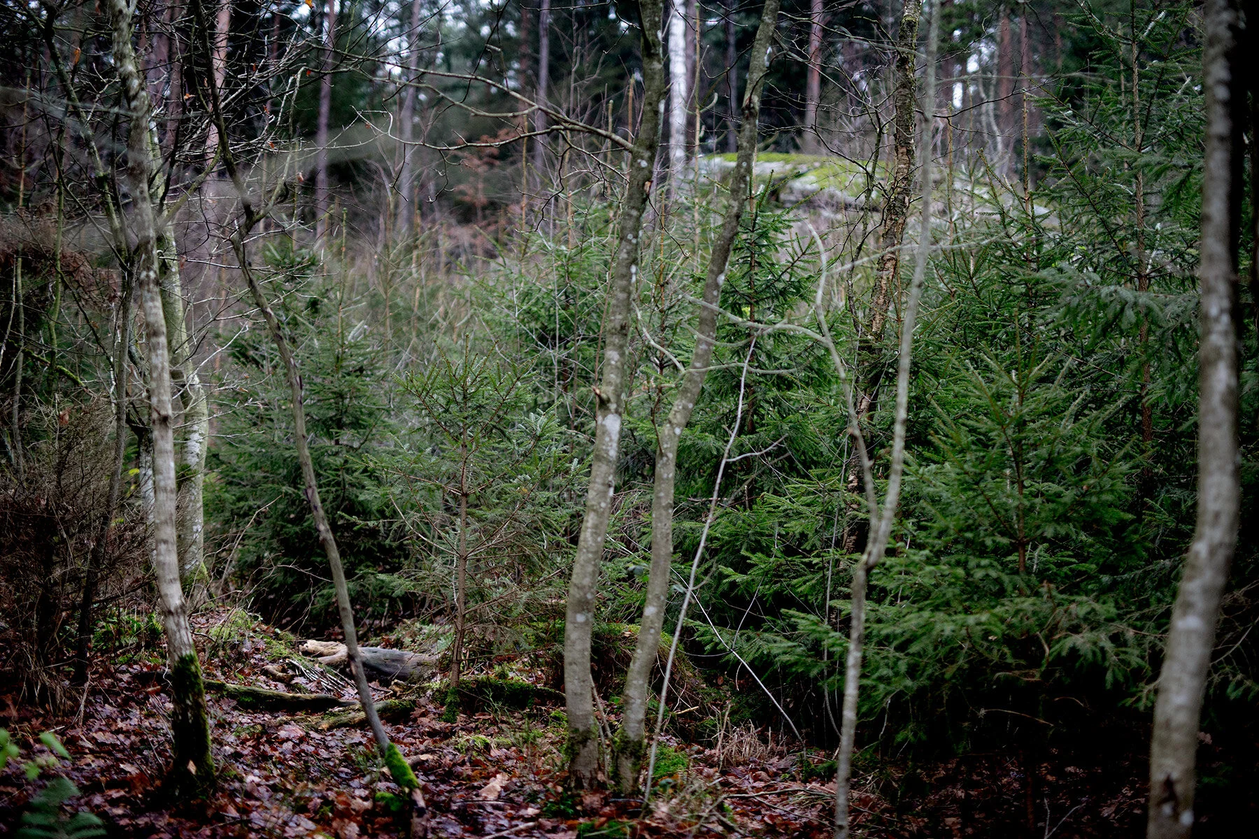 blogg-201205huggagran19.jpg