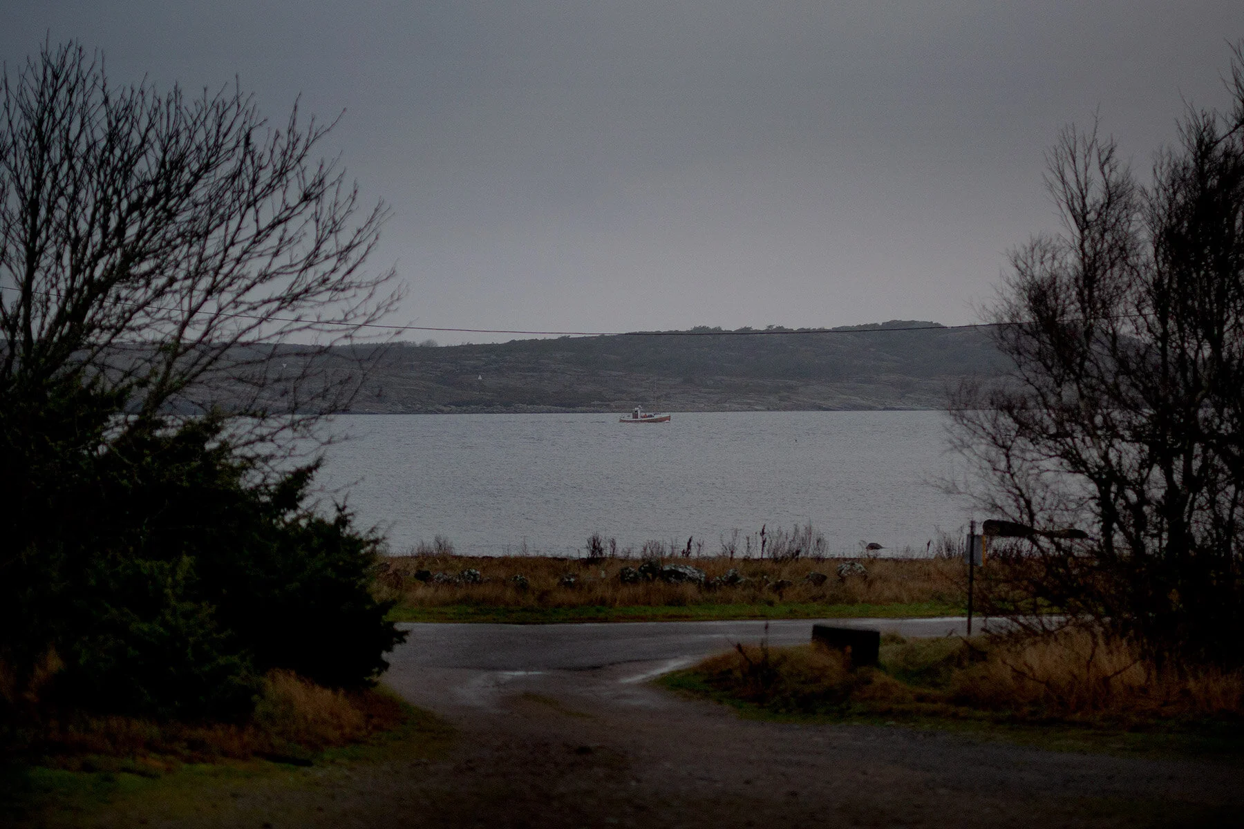 blogg-201212rubenkalasgrillning23.jpg