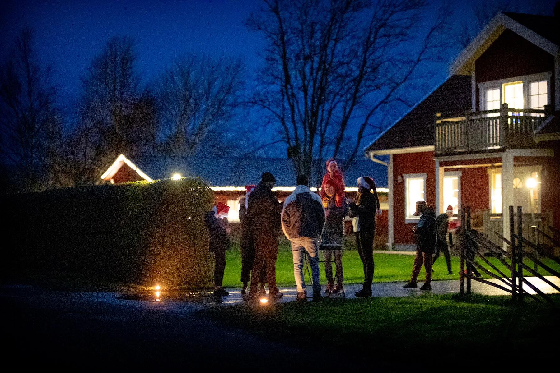 blogg-201213hastluciatag1.jpg
