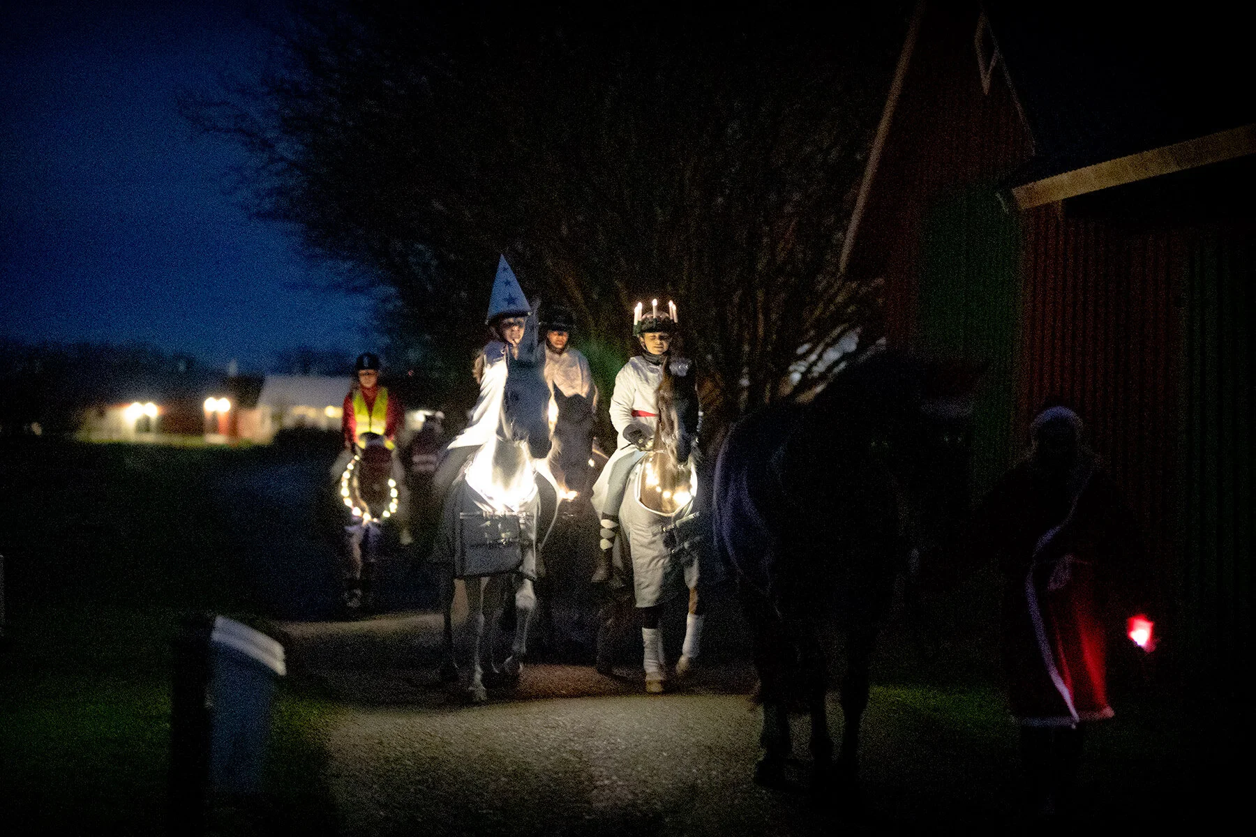 blogg-201213hastluciatag2.jpg