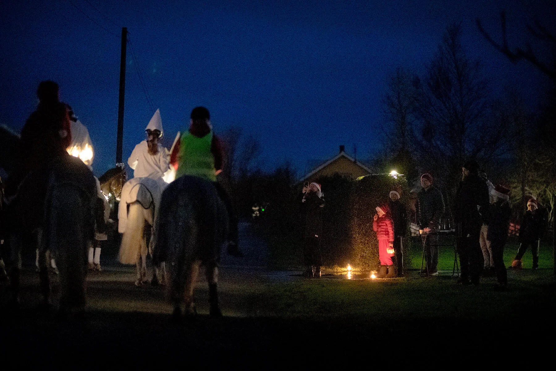 blogg-201213hastluciatag4.jpg