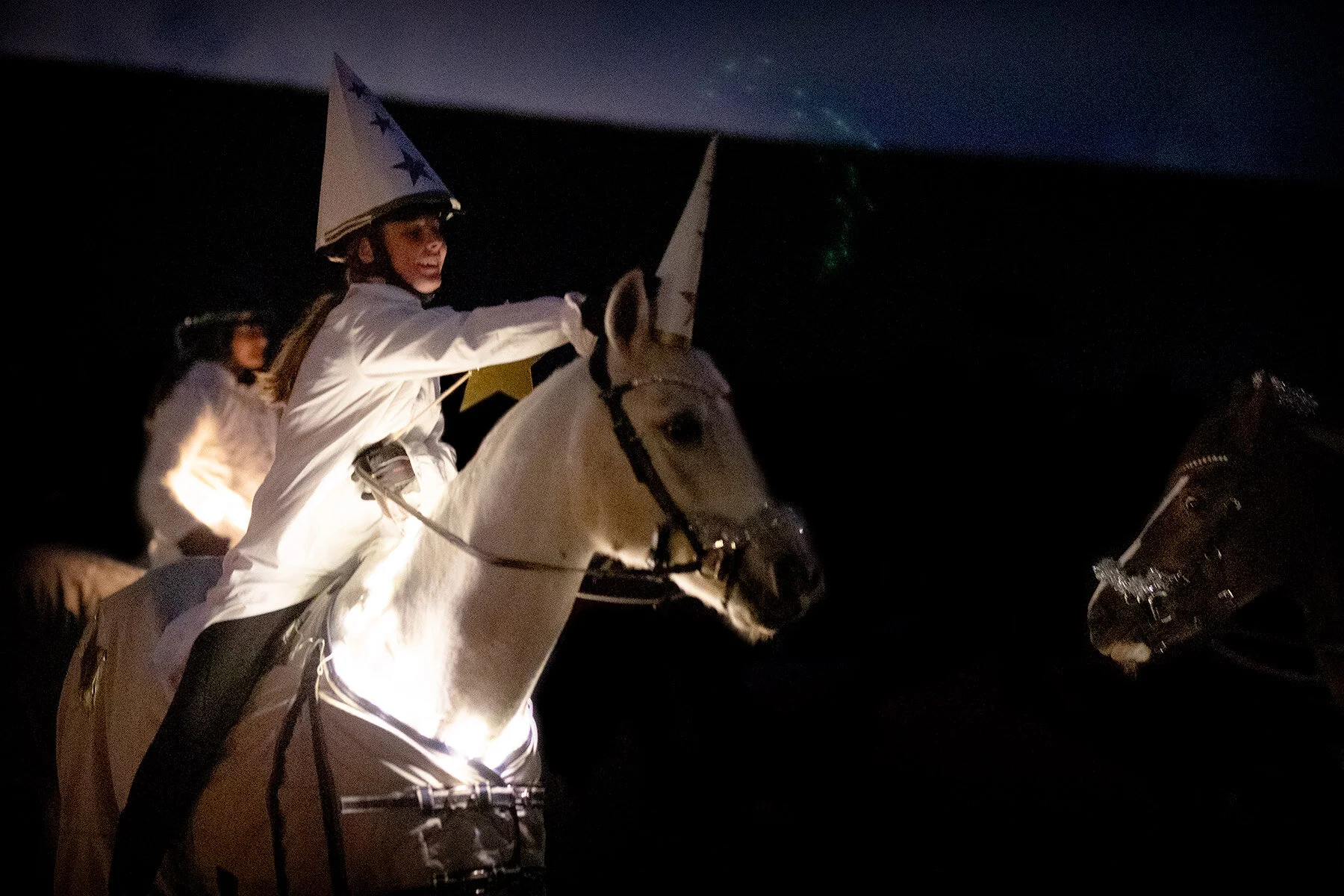 blogg-201213hastluciatag6.jpg