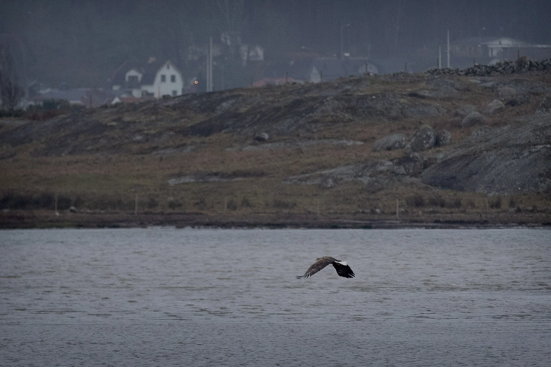blogg-201218havsorn2.jpg