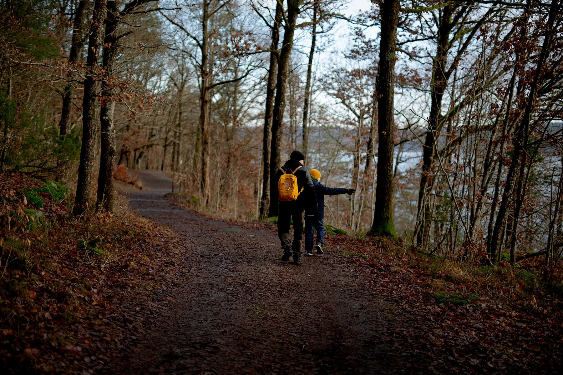 blogg-201219ramhultafallet3.jpg