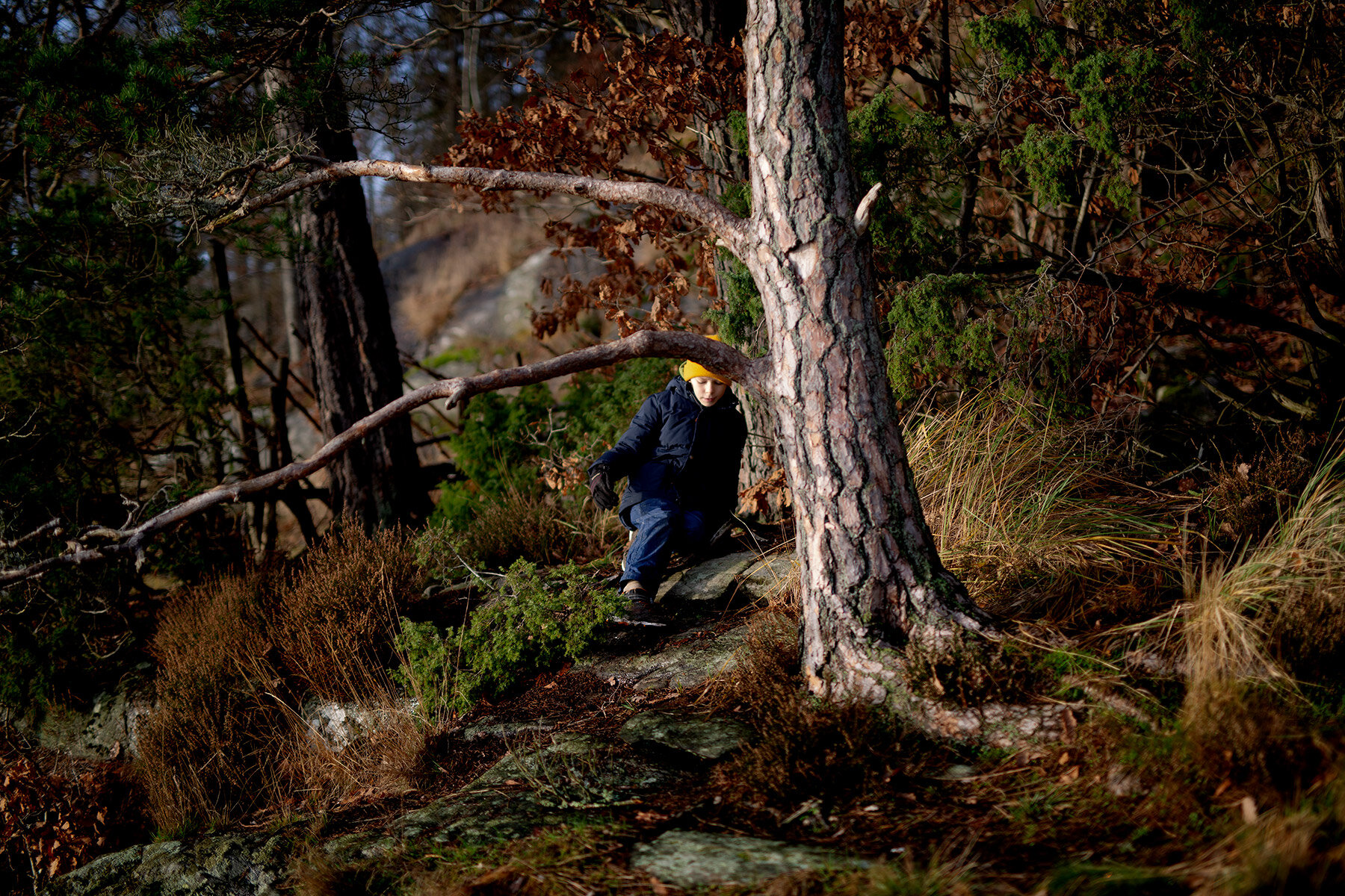 blogg-201219ramhultafallet24.jpg
