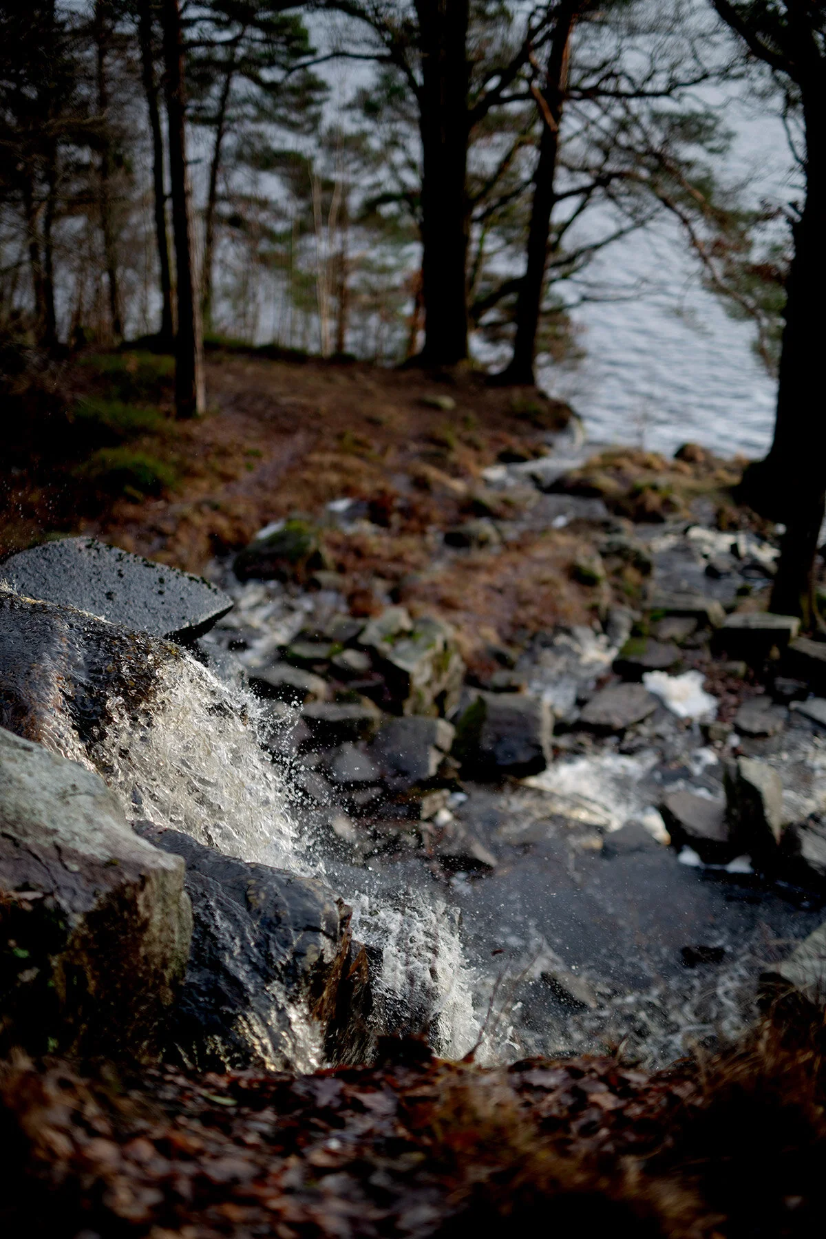 blogg-201219ramhultafallet39.jpg