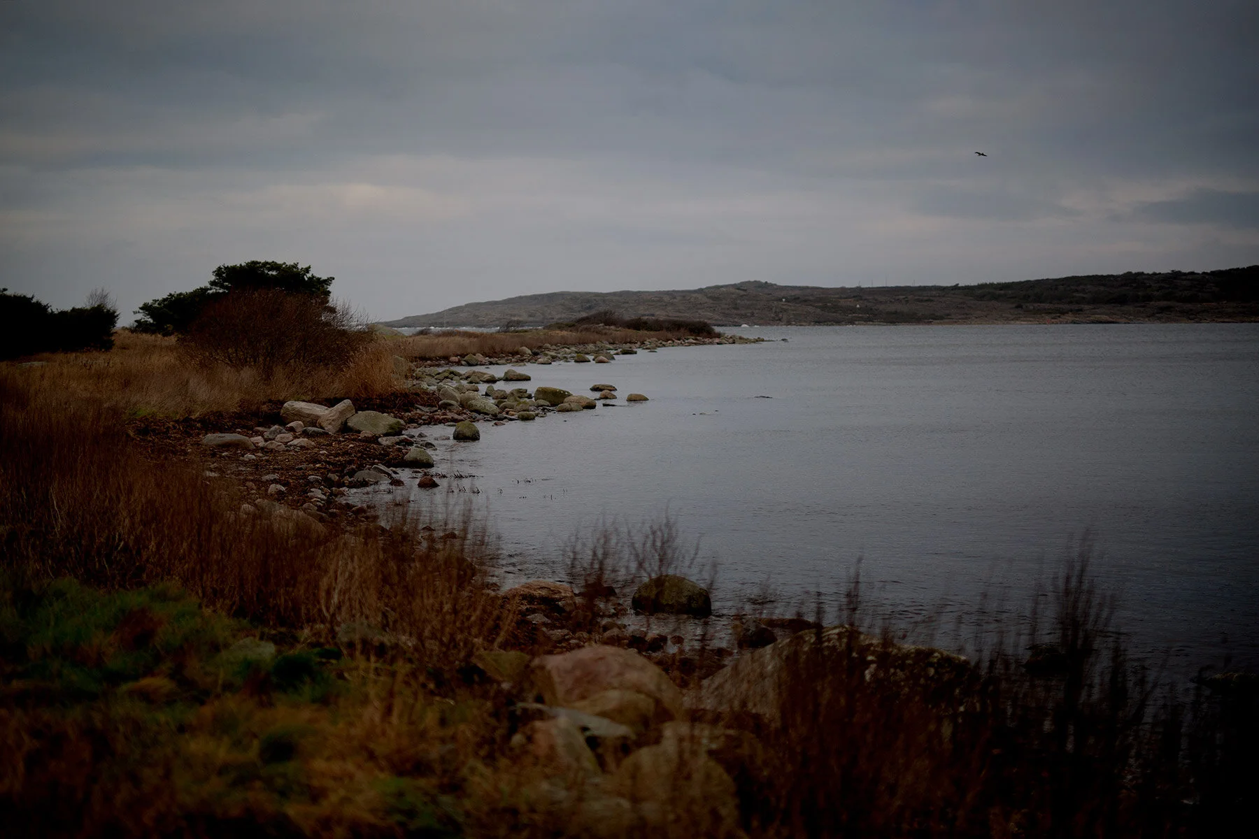 blogg-201221fyrenmedgustav2.jpg