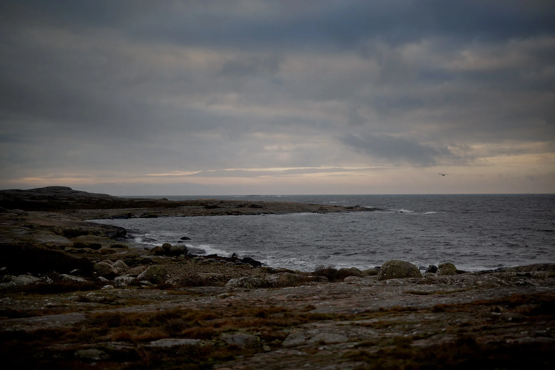 blogg-201221fyrenmedgustav7.jpg