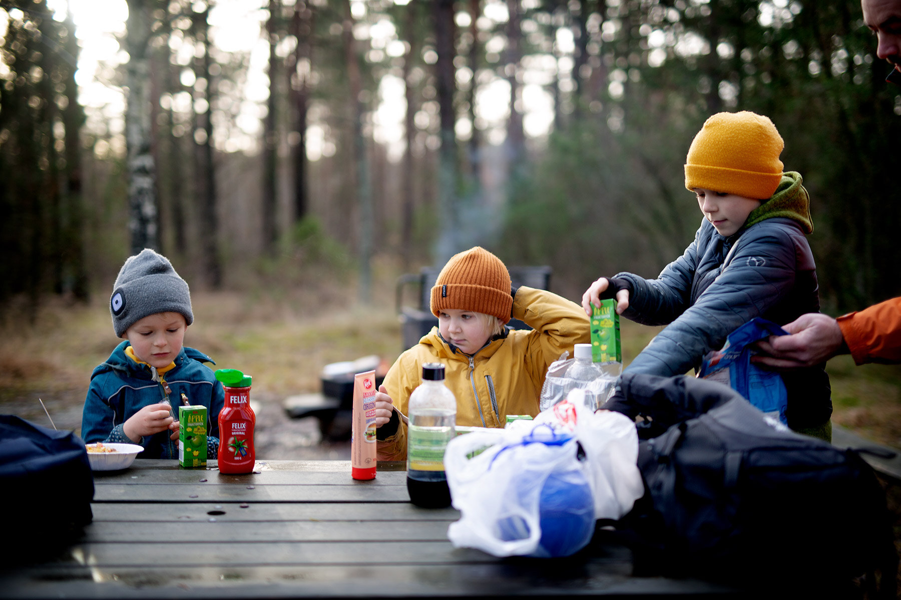 blogg-201223krippaellievindskyddet11.jpg