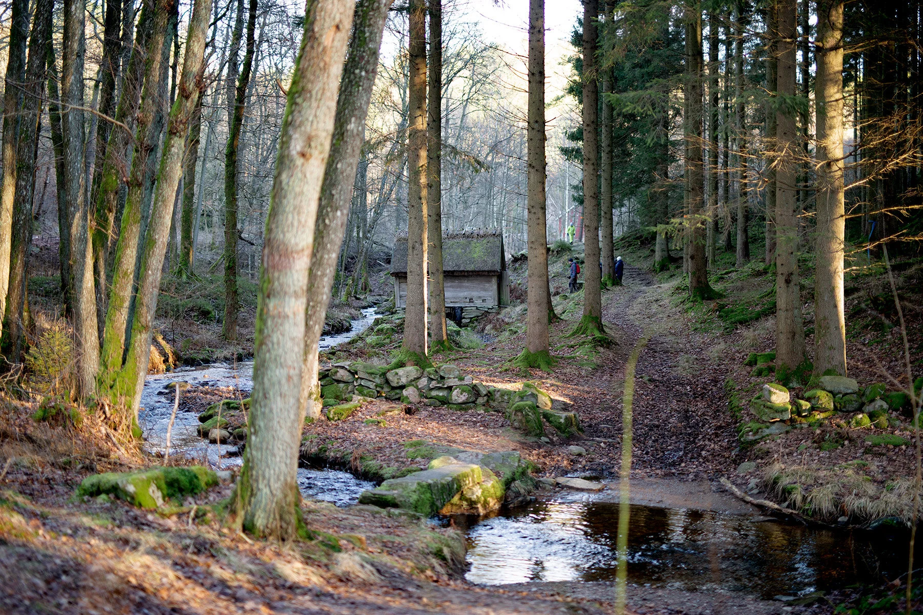 blogg-201225kvarnadalen9.jpg