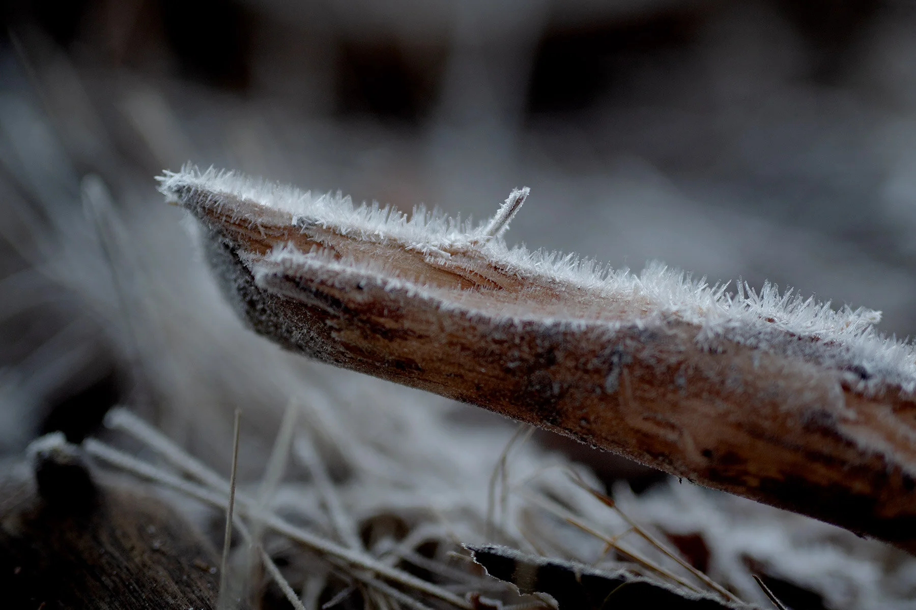 blogg-201225kvarnadalen12.jpg