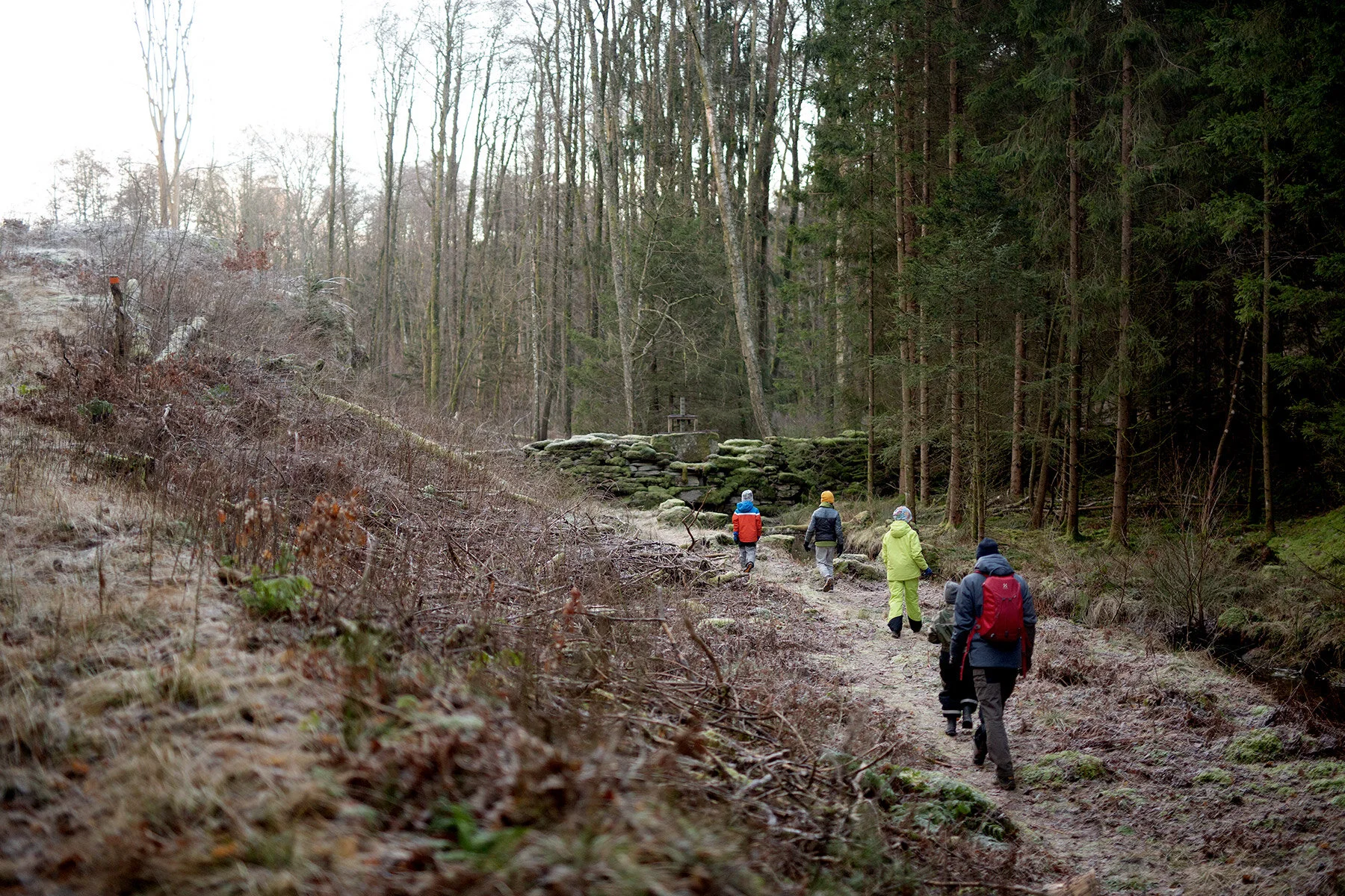 blogg-201225kvarnadalen13.jpg