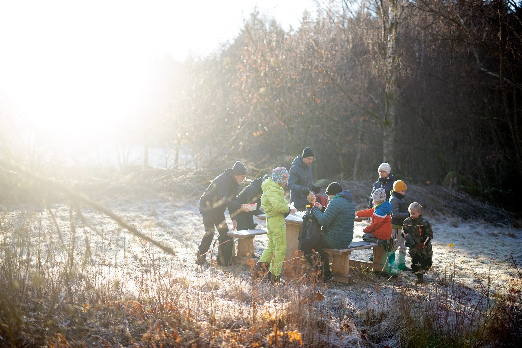 blogg-201225kvarnadalen23.jpg