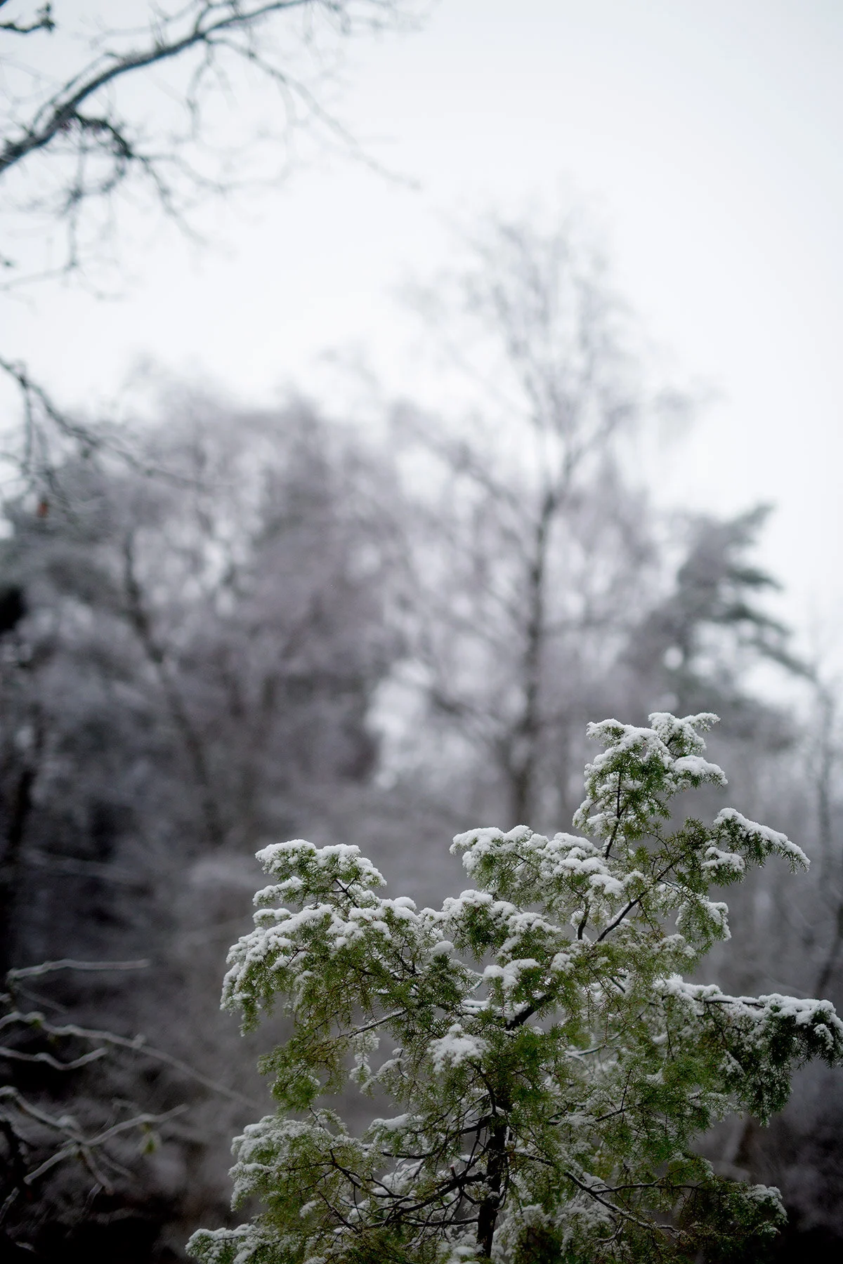 blogg-201230snoiskovde25.jpg