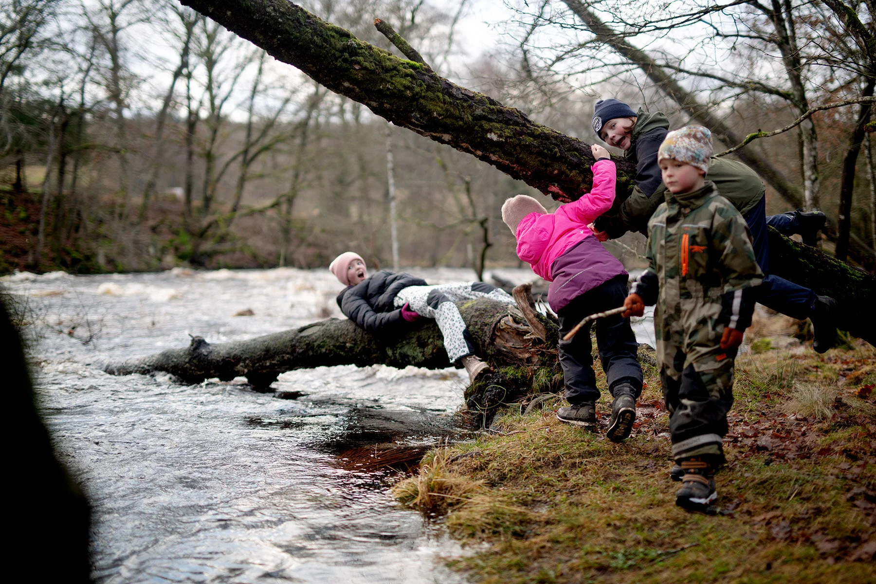 blogg-210103angarnagrilla9.jpg