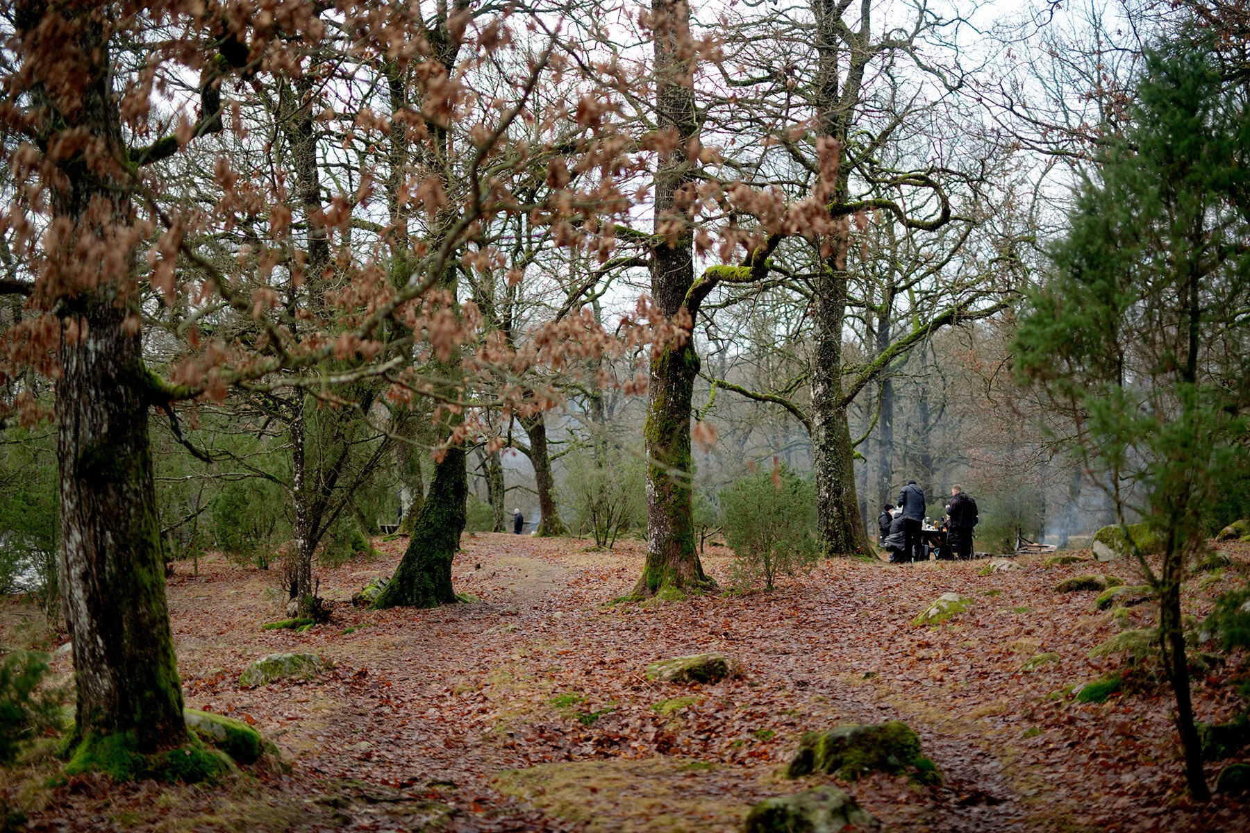 blogg-210103angarnagrilla10.jpg
