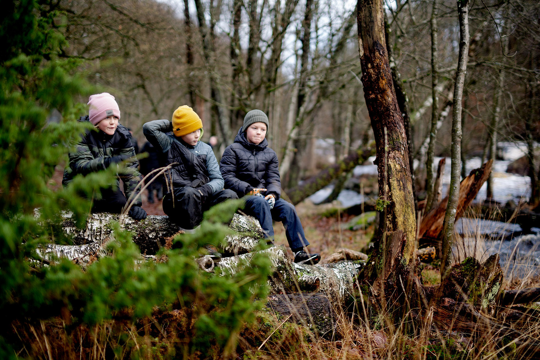 blogg-210103angarnagrilla13.jpg