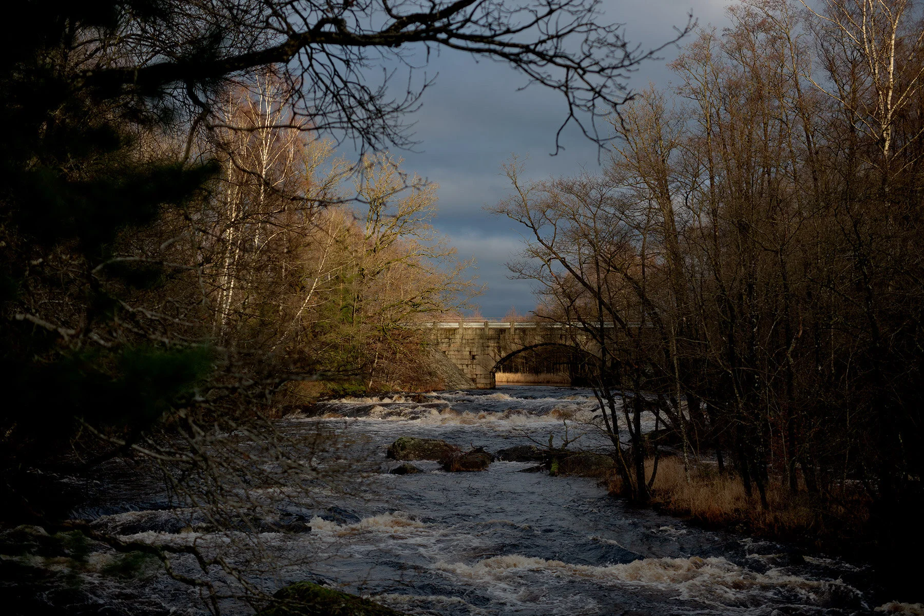 blogg-210103angarnagrilla37.jpg