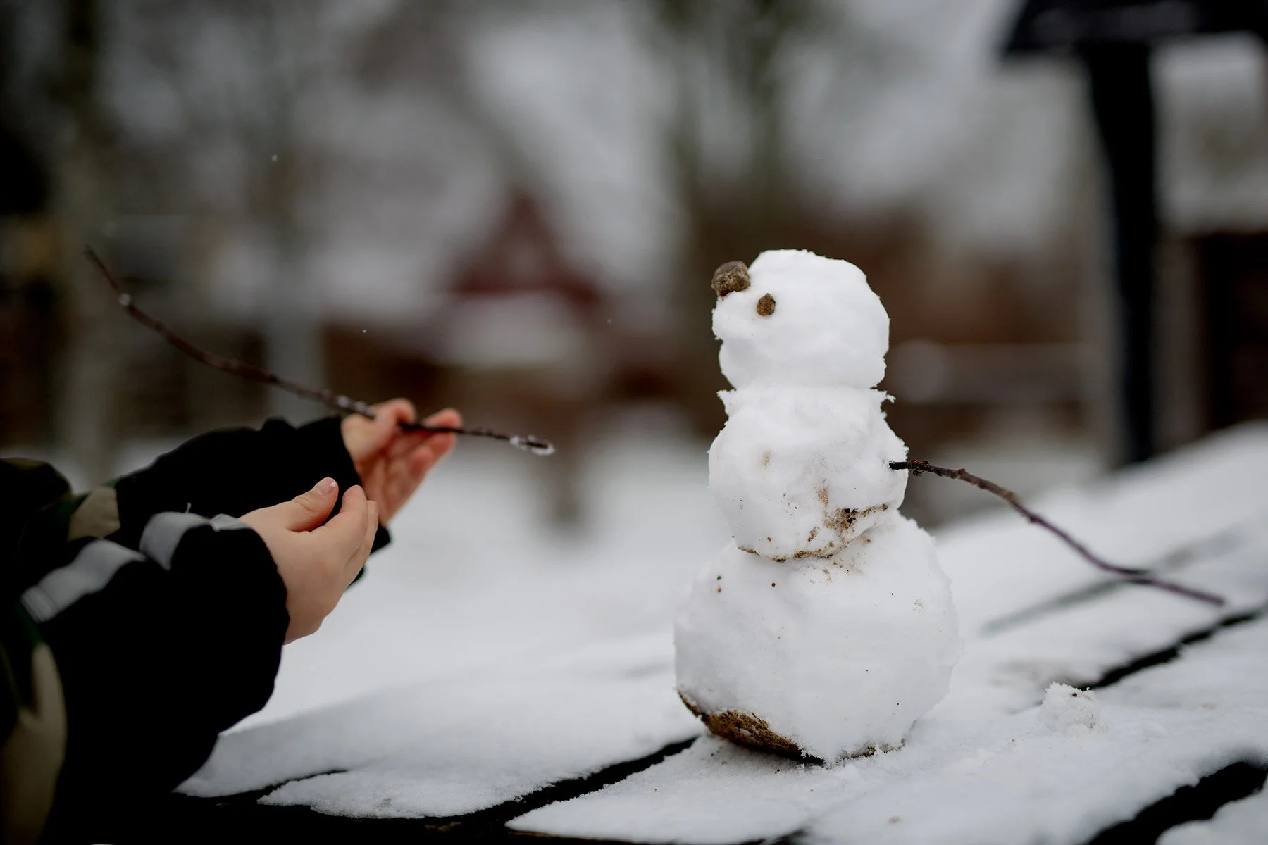 blogg-210108snogubbe1.jpg
