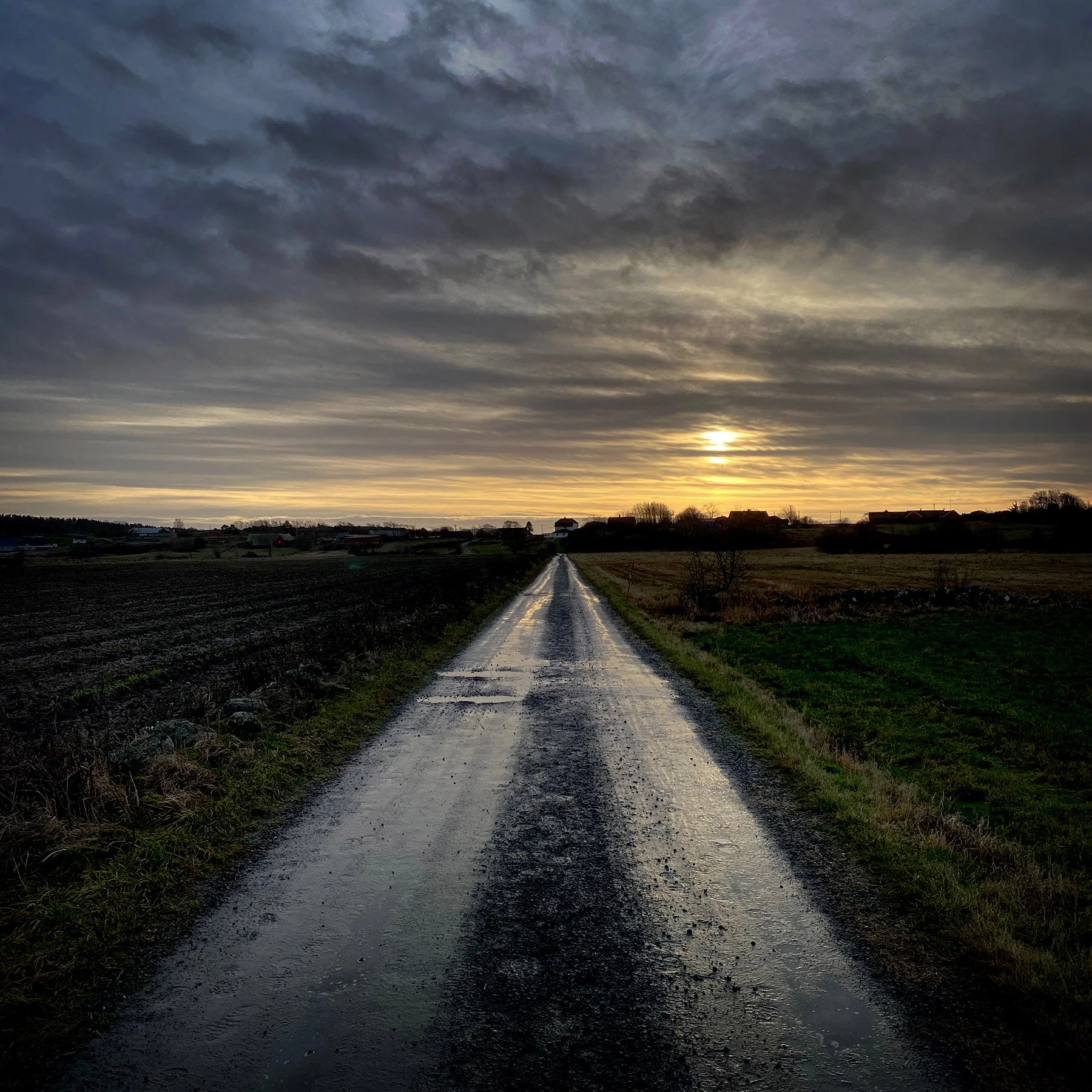 blogg-210110grapromenad1.jpg