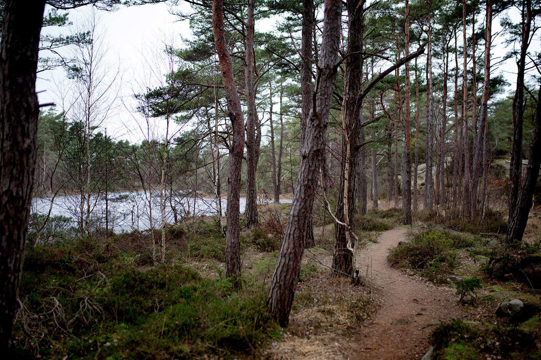 blogg-210117langenskridskoreld2.jpg