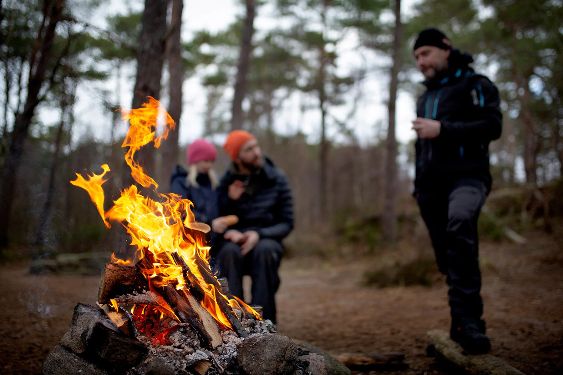 blogg-210117langenskridskoreld48.jpg