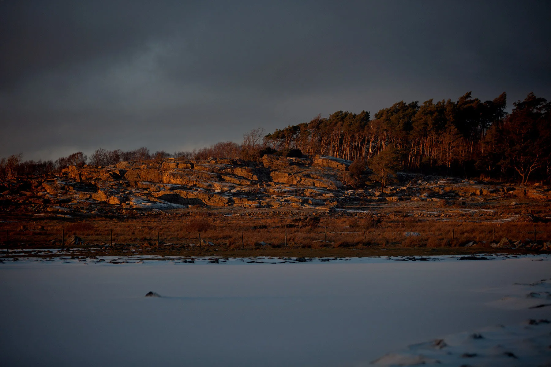 blogg-210117skridskofageltornet12.jpg