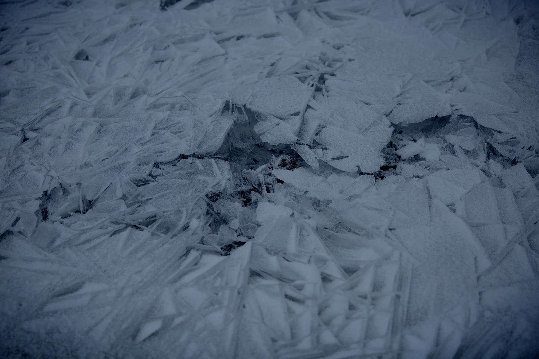 blogg-210117skridskofageltornet19.jpg
